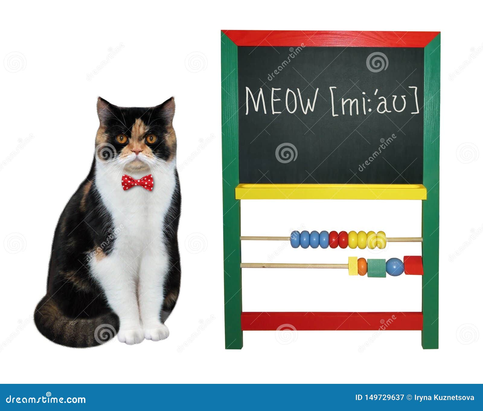 Meow Share