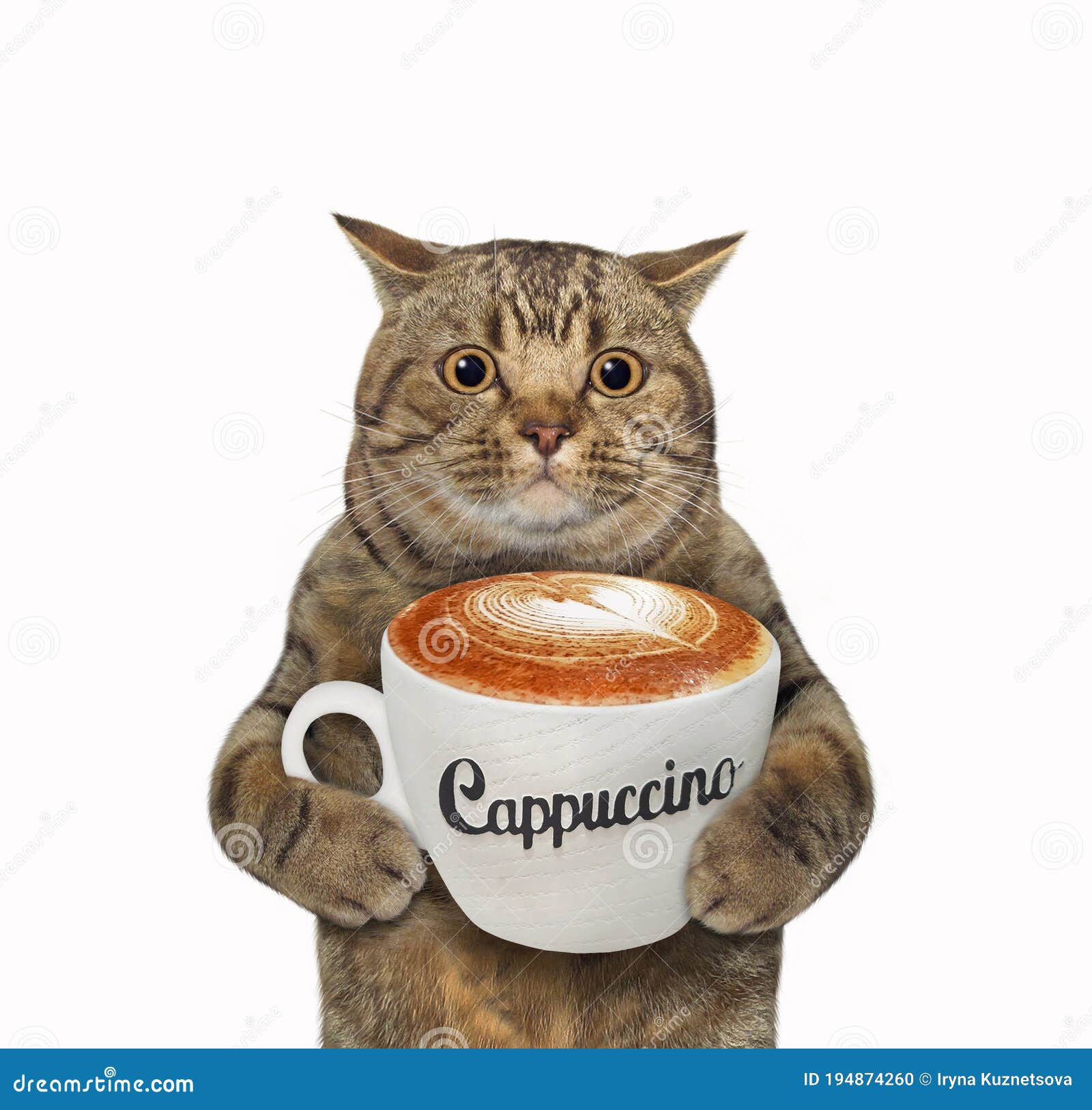 Котик С Кофе Картинки