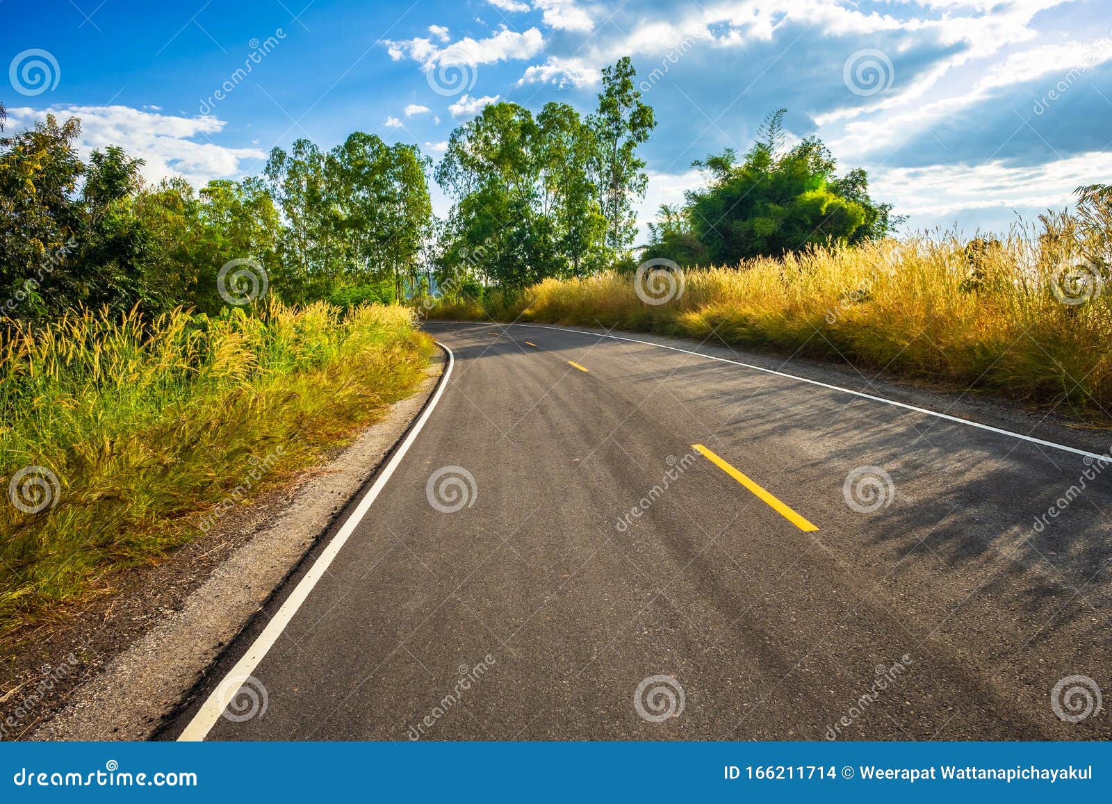 Monster Curves Pictures