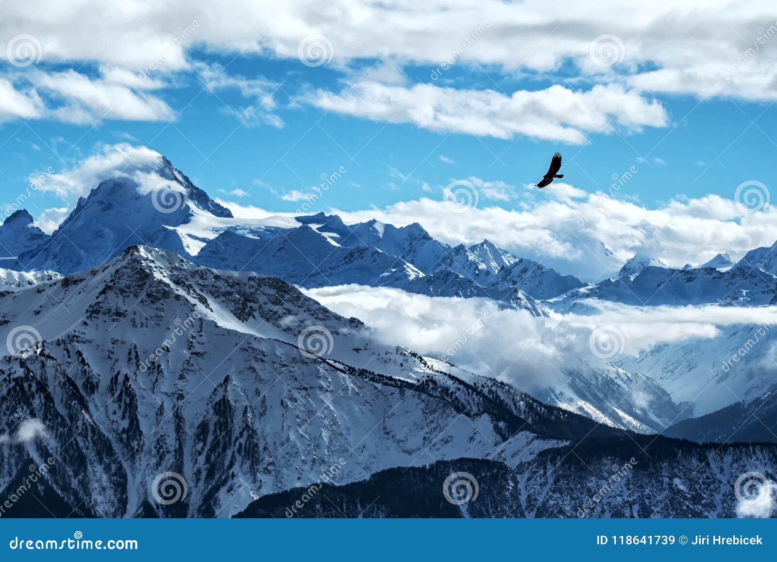 Ts Bird Mountain