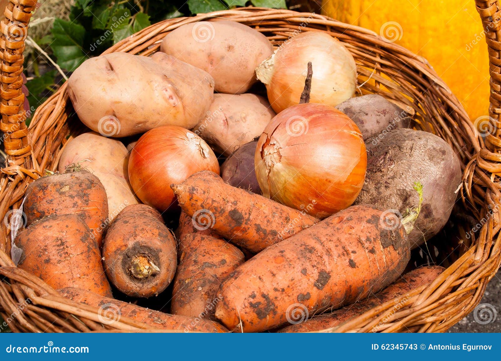 Купить Картофель Морковь Цена
