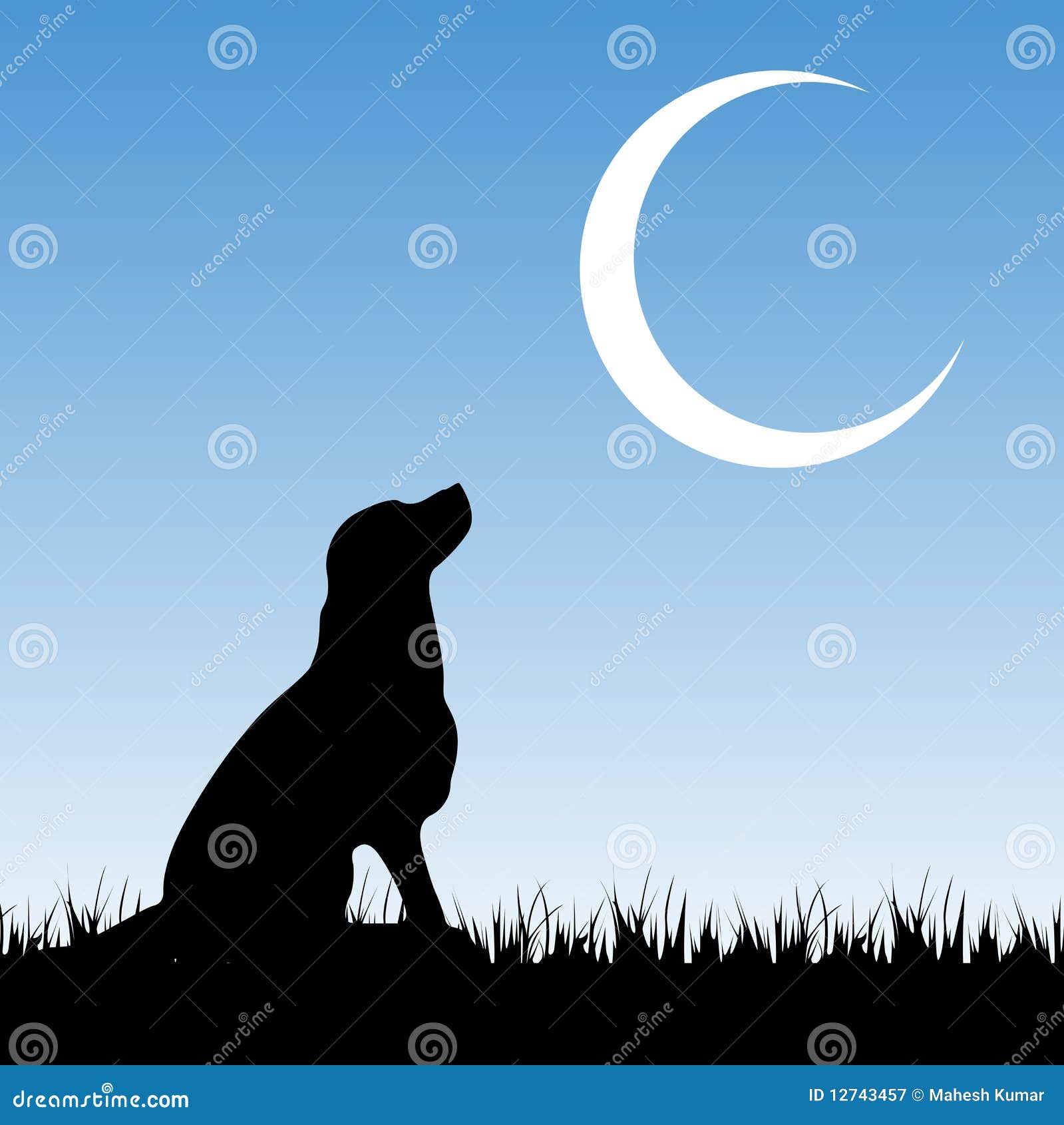 Sssniperwolf Dog Luna
