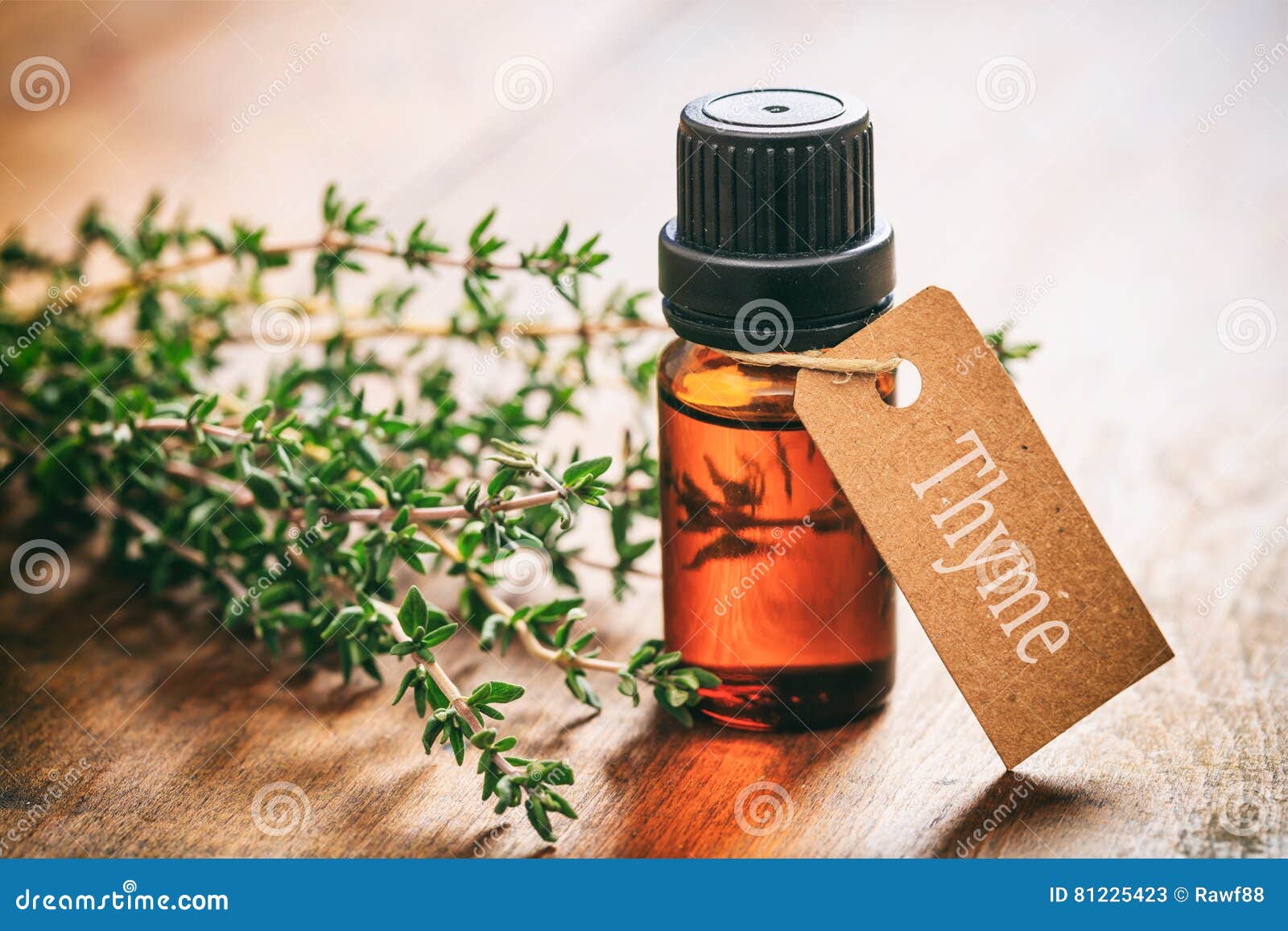 Тимьян Белый Масло Эфирное Купить