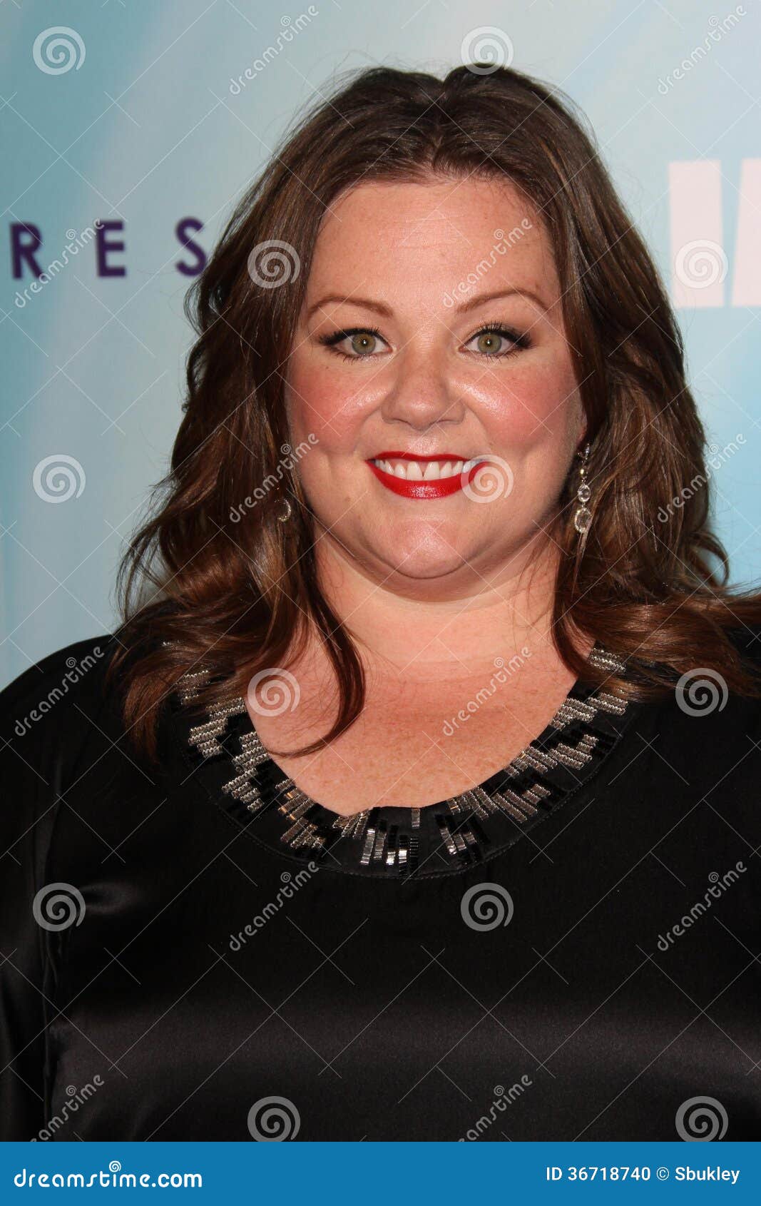 Vanessa Mccarthy Related To Melissa Mccarthy