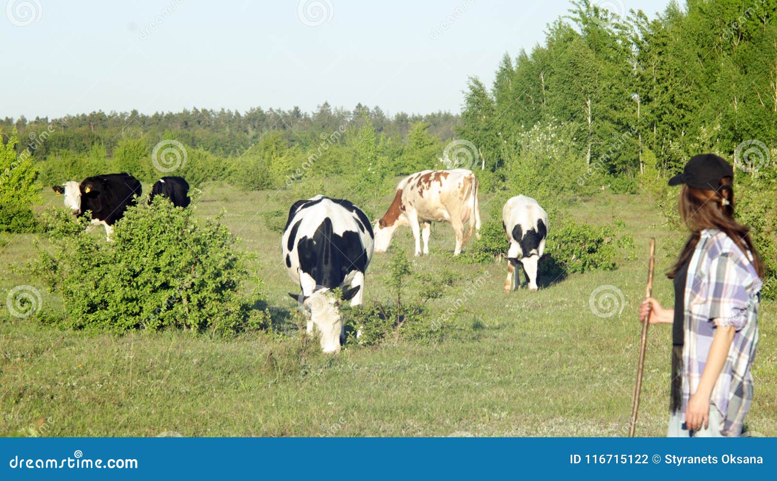 Banshee Farm Girl