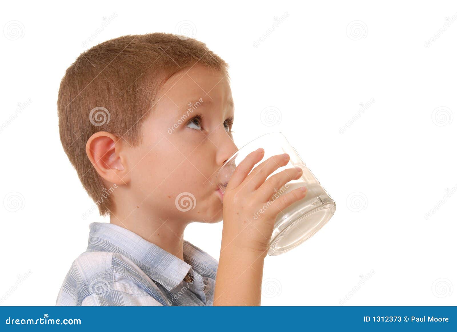 Sugar Leche Bebe