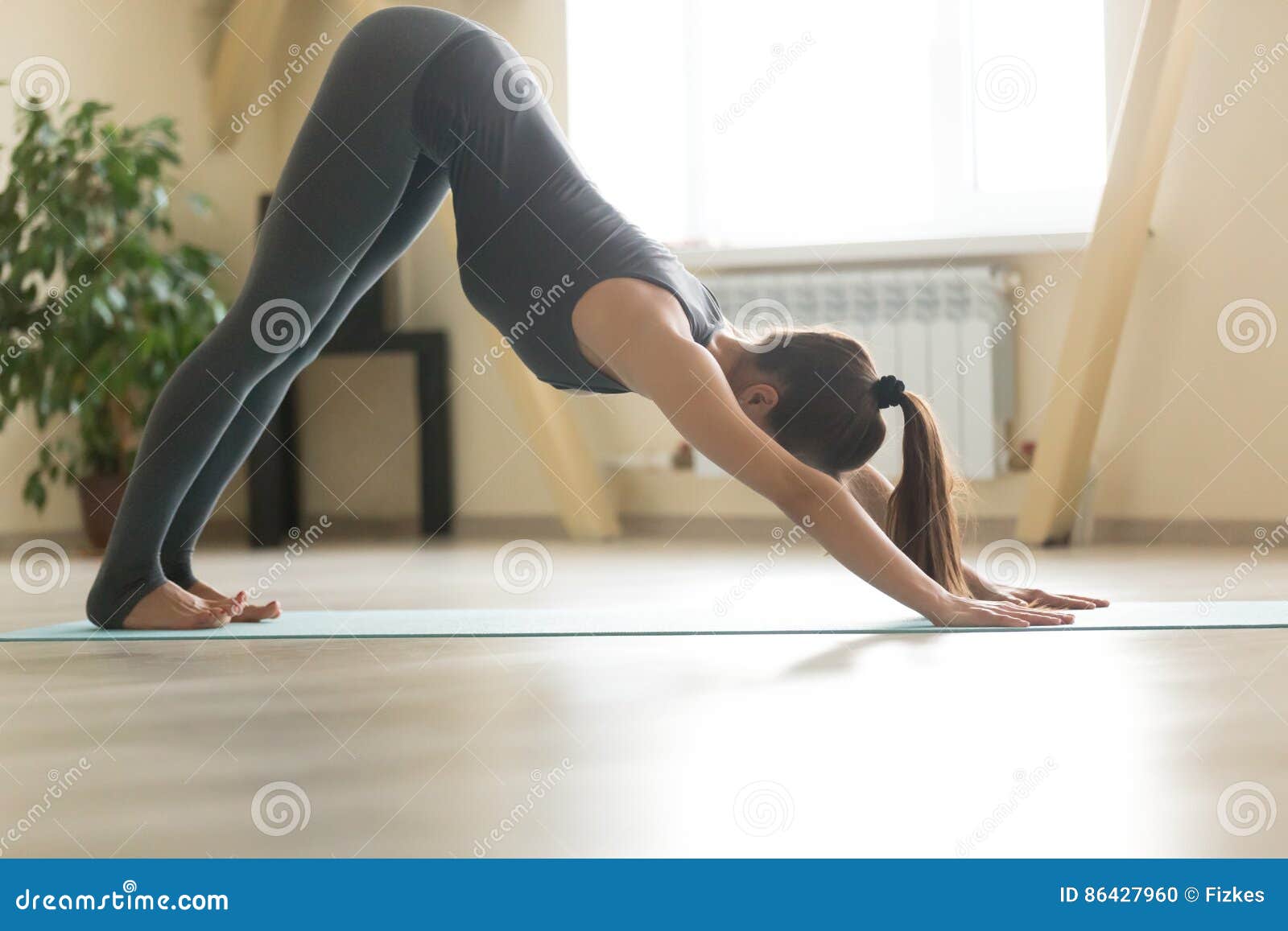 Downward Doggy