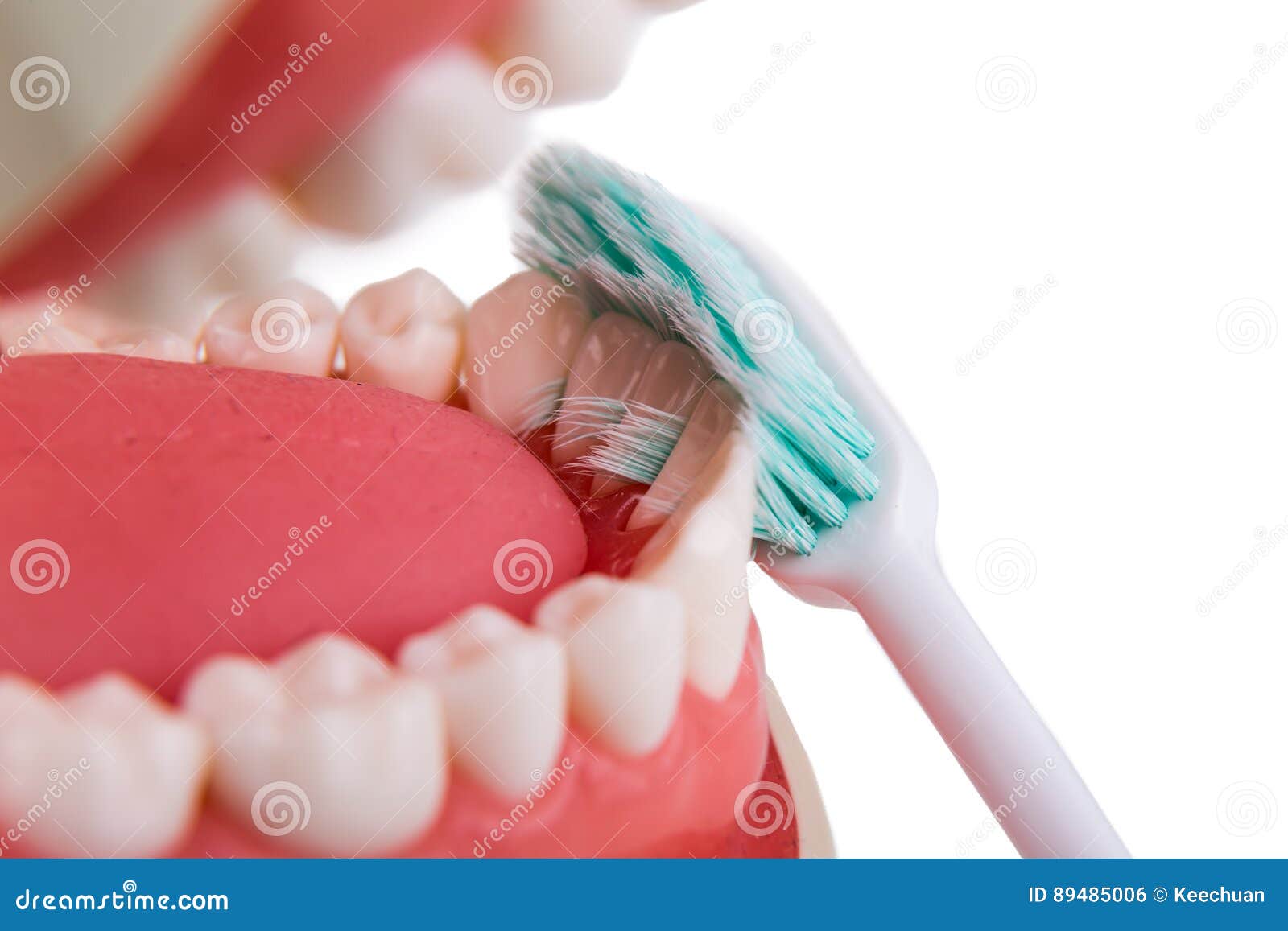 Tooth Brush In Pussy