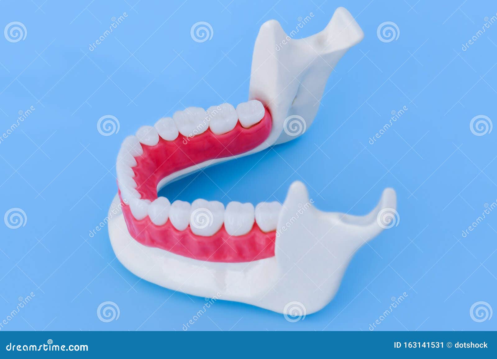 Купить Зуба Человека Москва