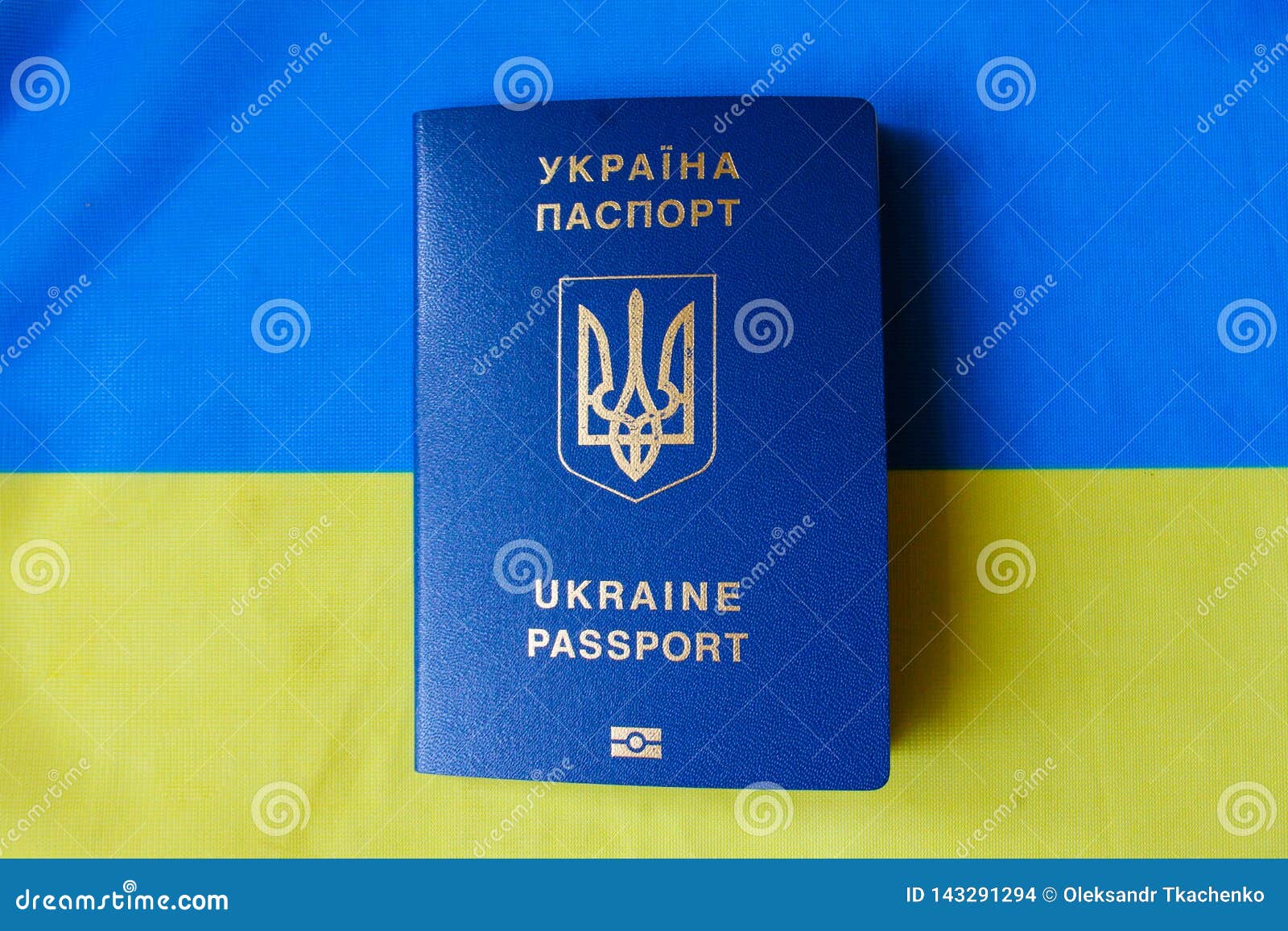 Биометрический Загранпаспорт Украина Фото