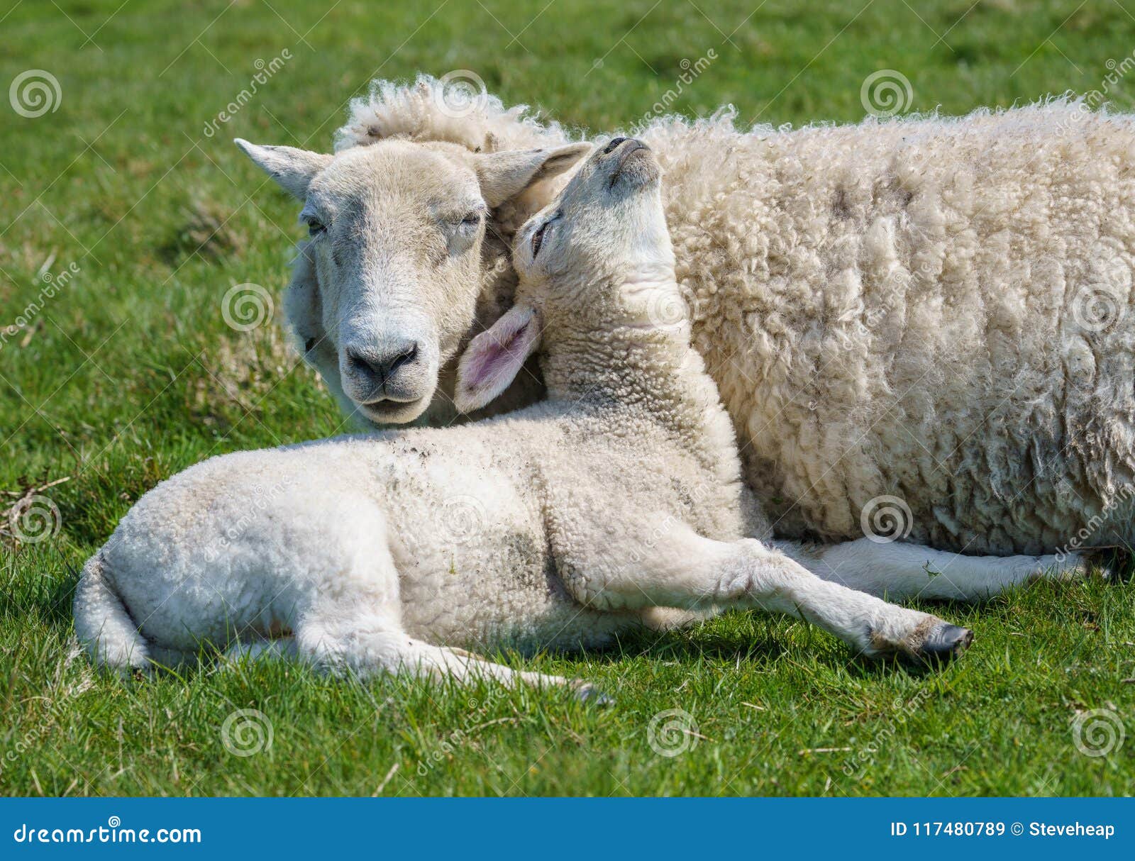 Ewe.Ac/Rdke