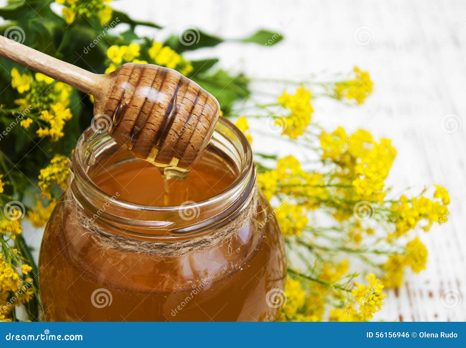 Рапсовый Мед Полезные Свойства Цена