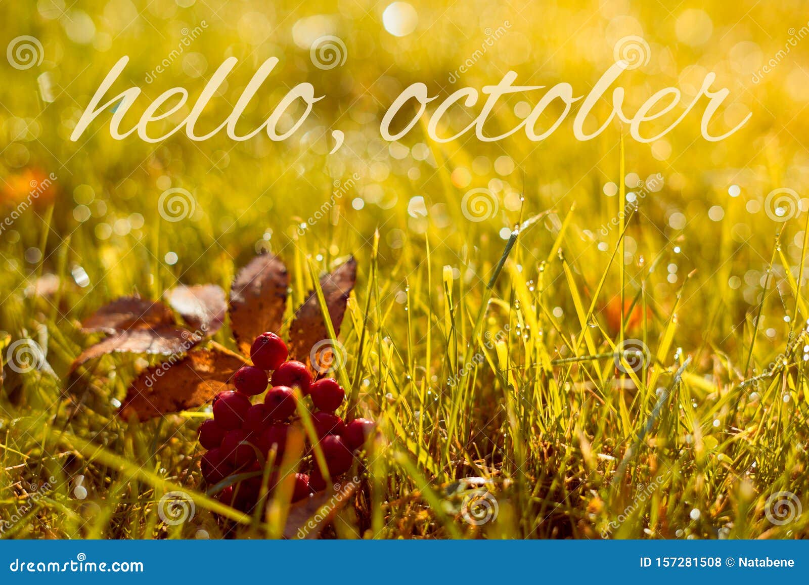 Hello October Xo