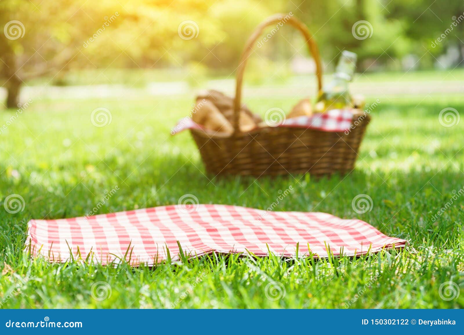 Picnic Pussies