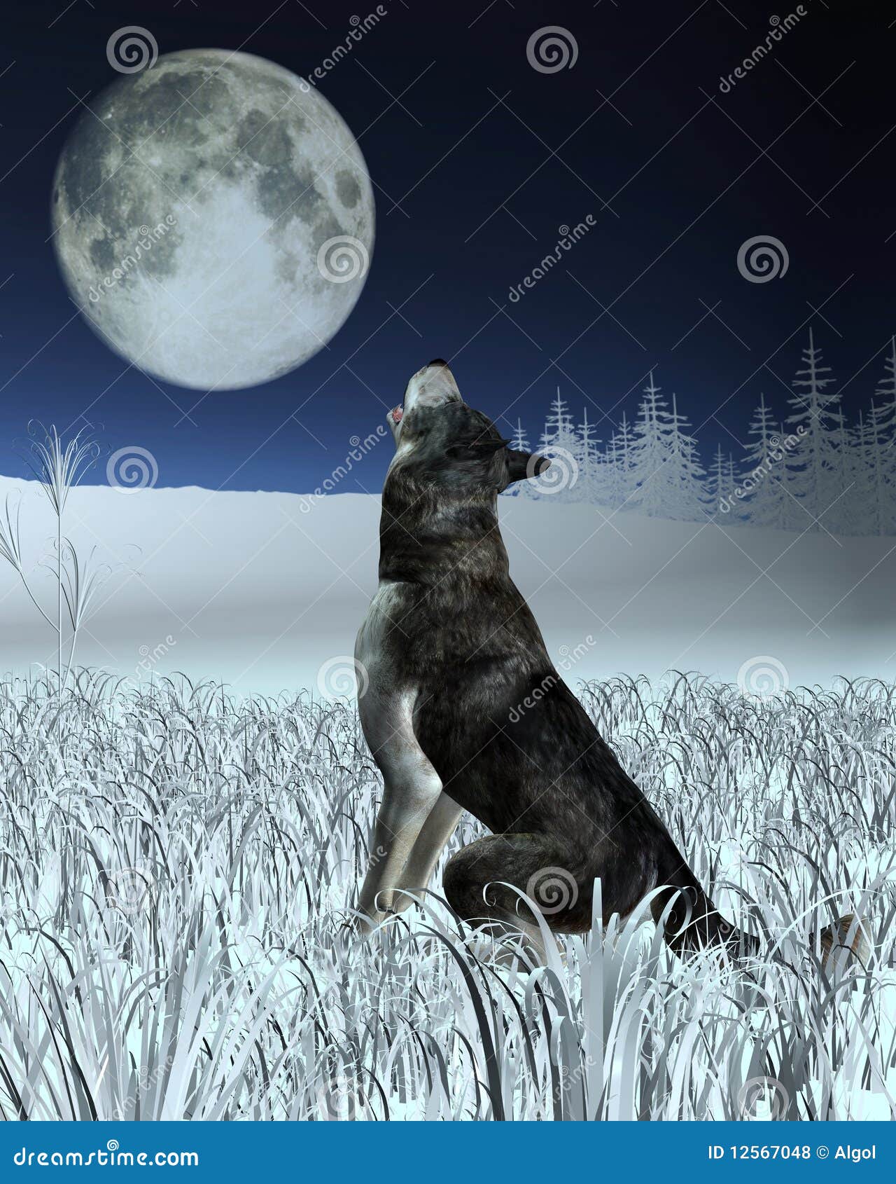 Sssniperwolf Dog Luna