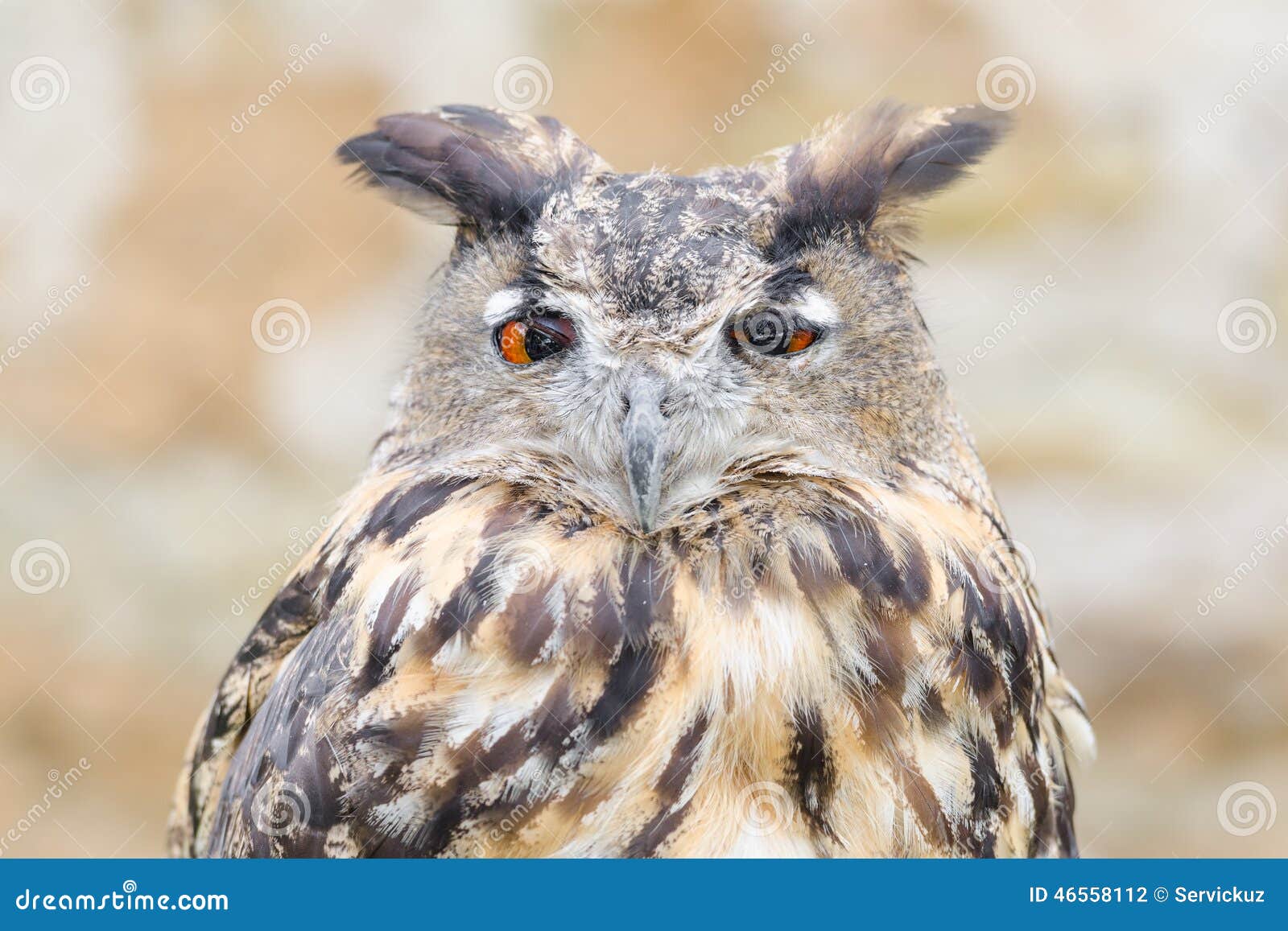 Horny Bird