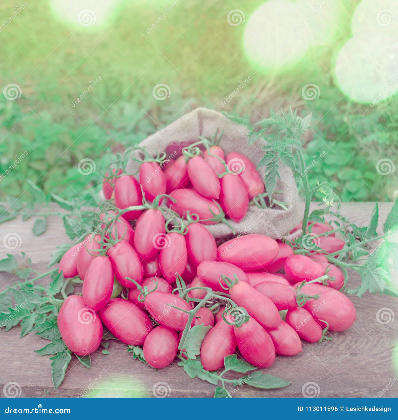 Розовая Стелла Томат Купить Семена