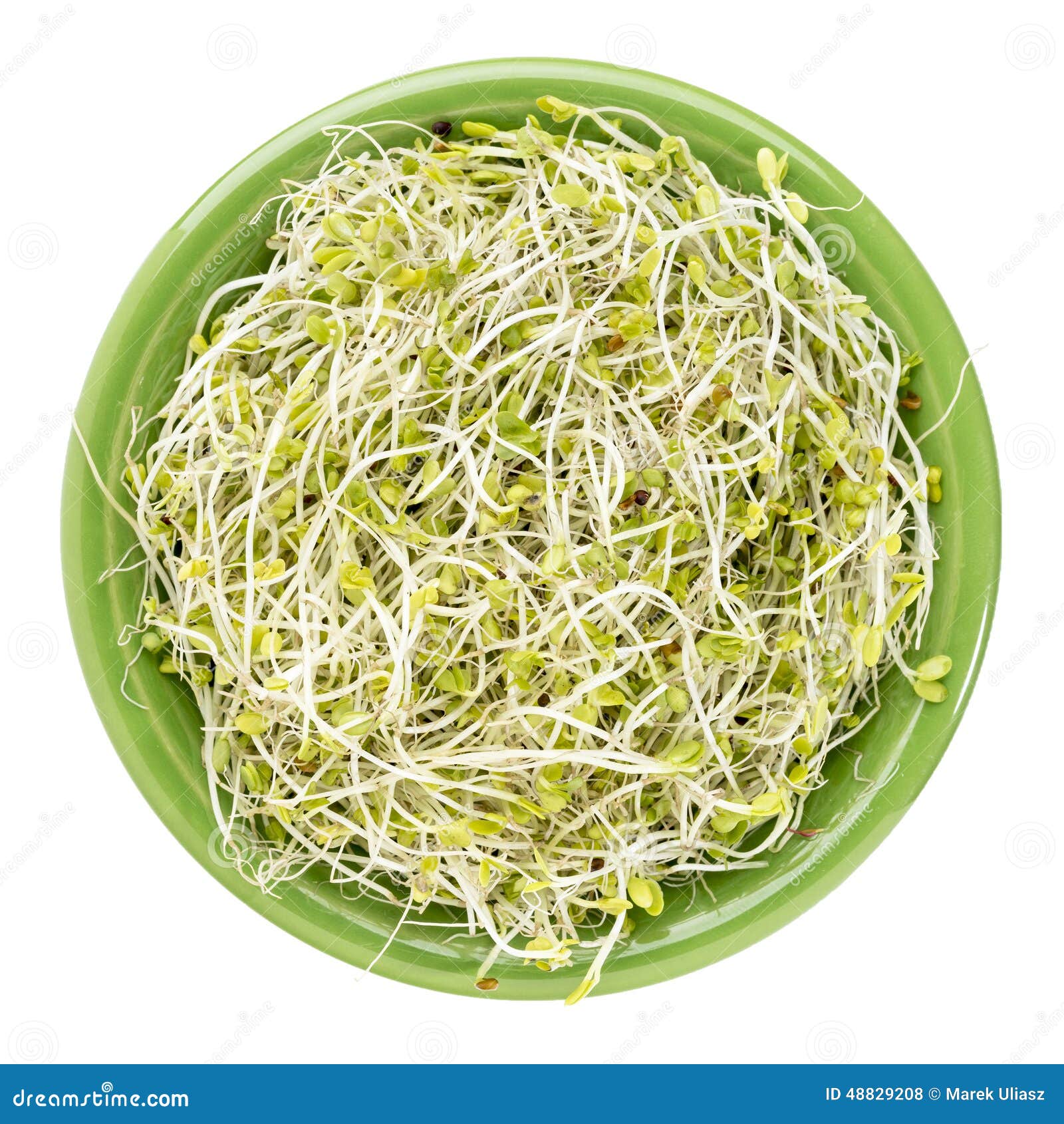 Broccoli Sprouts Купить