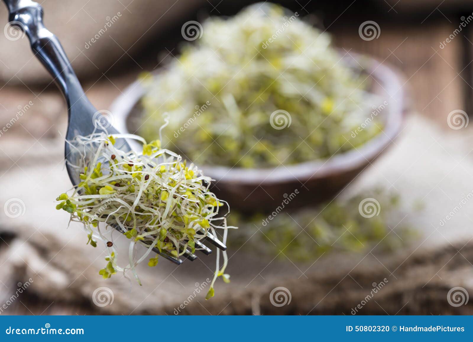 Broccoli Sprouts Купить