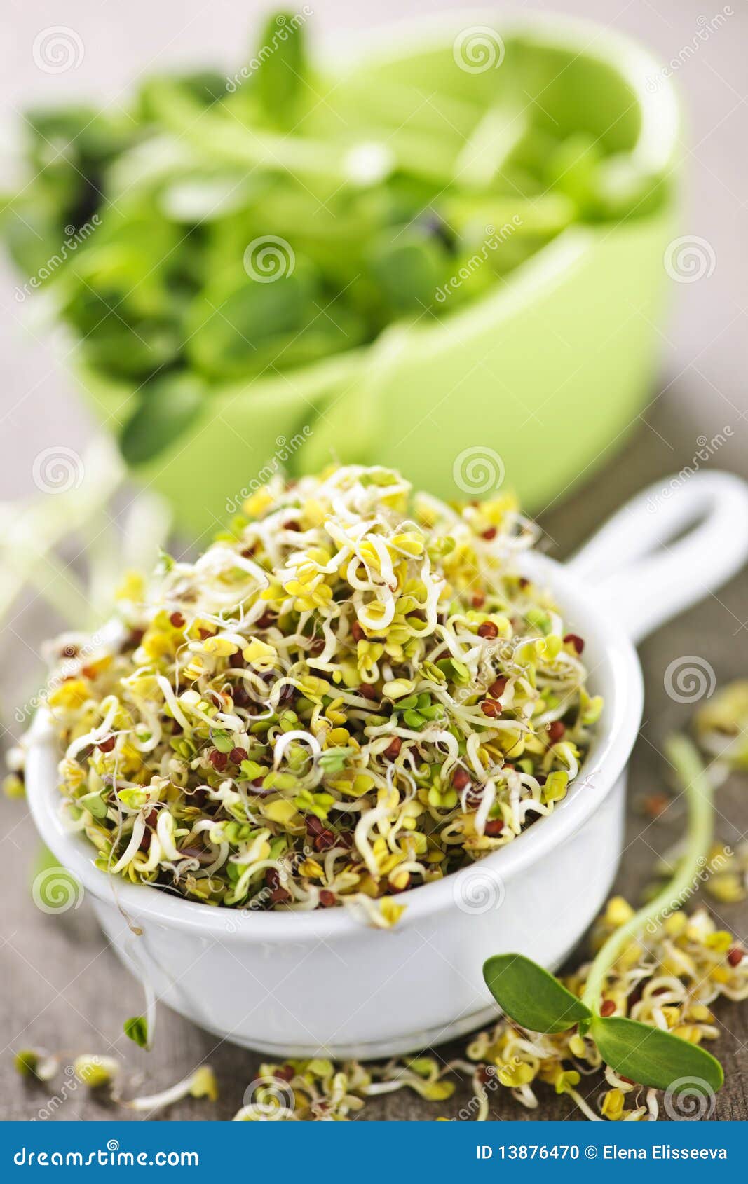 Broccoli Sprouts Купить