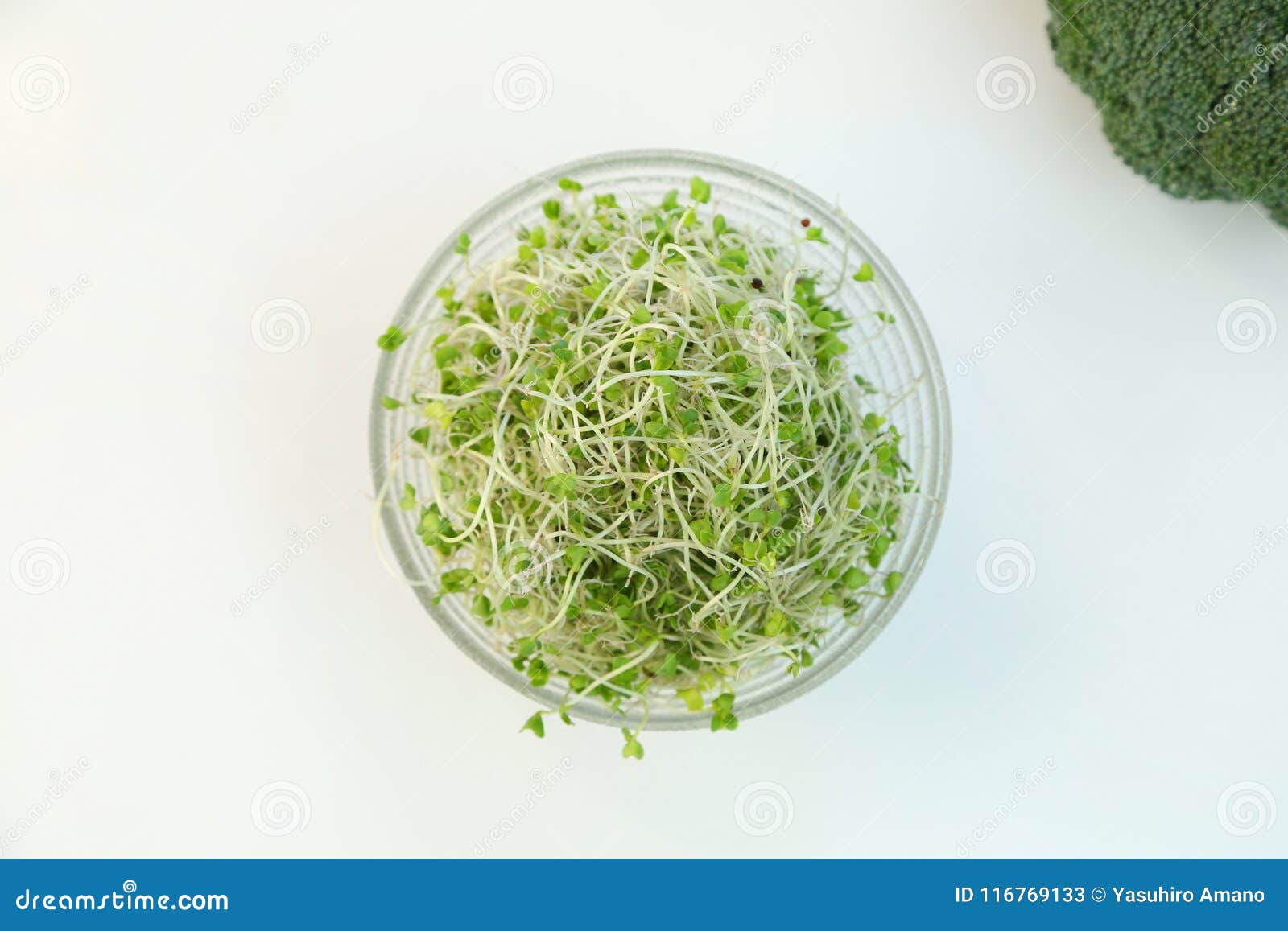 Broccoli Sprouts Купить