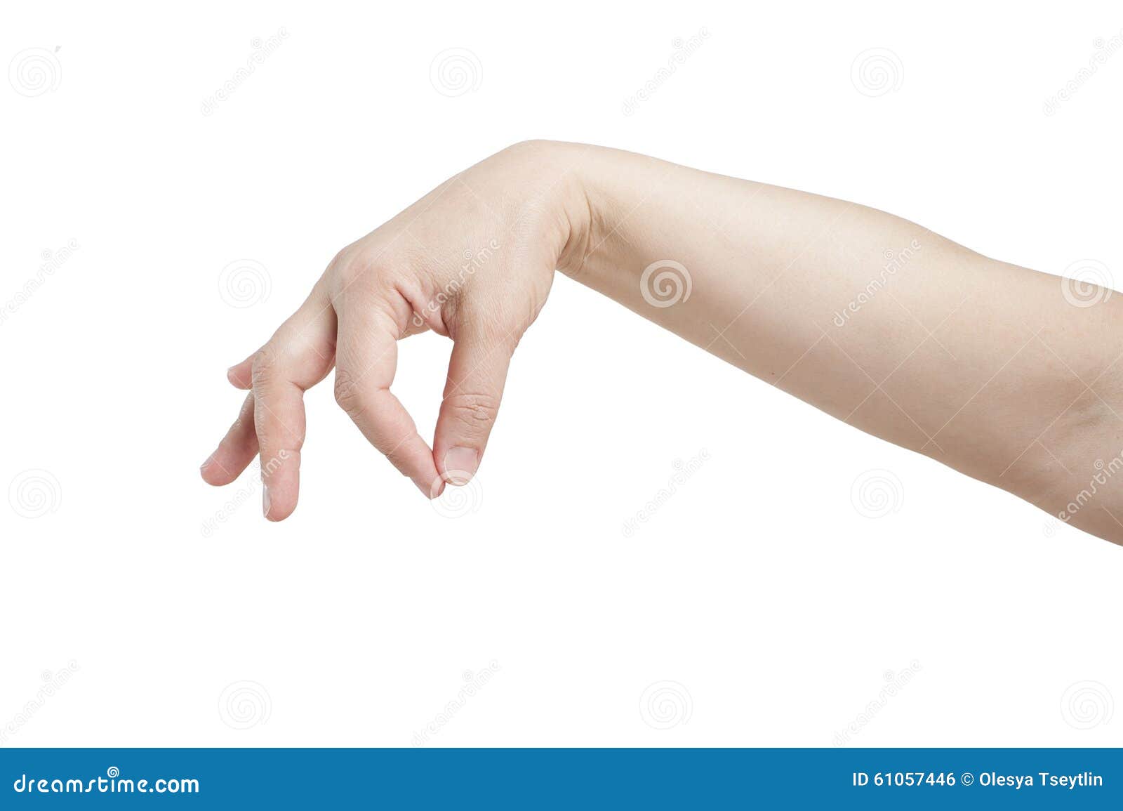 Кидать пальцы. Женская рука. Женская кисть руки. Вытянутая рука. Женская ладонь.