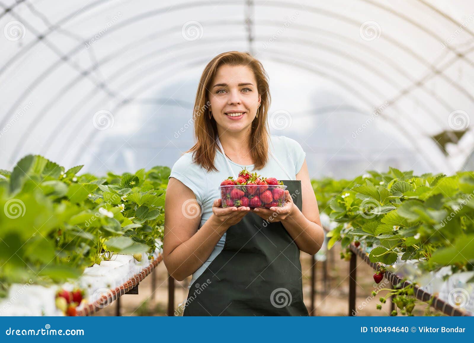 женщина в теплице. тепличный комплекс огурцы. ооо «тепличный комплекс «зеленая линия». вакансия теплице работа для женщин. работники в теплице.