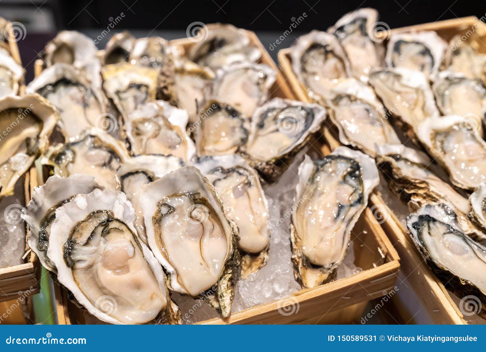 Купить Свежих Устриц С Доставкой