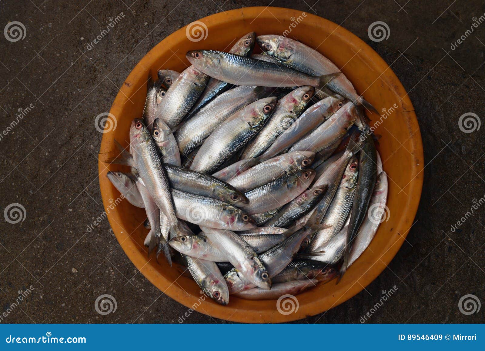 морская курица рыба рецепты. рыба морская курица. кормление кур. курица рыба морепродукты. мясо рыба.