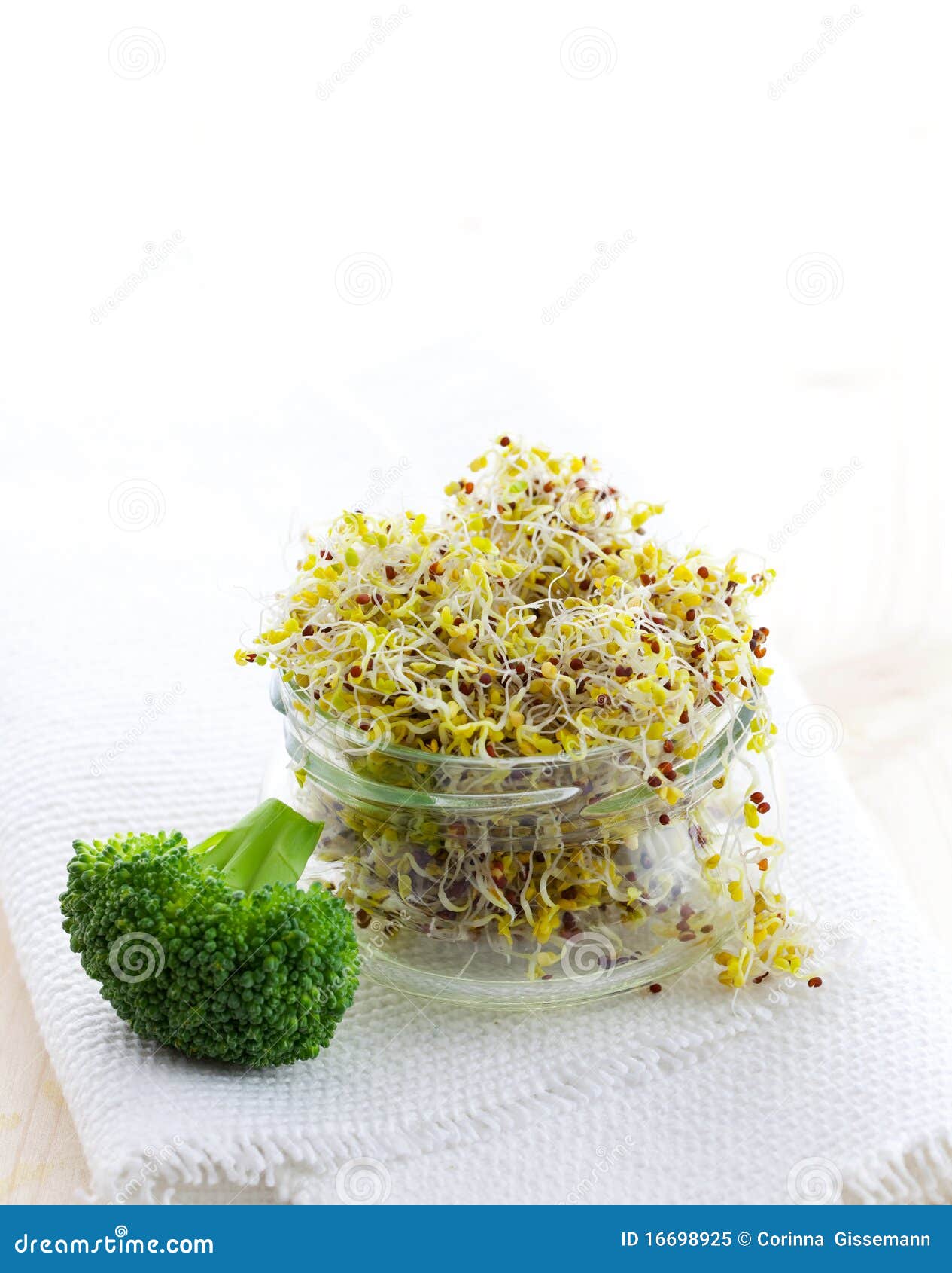 Broccoli Sprouts Купить