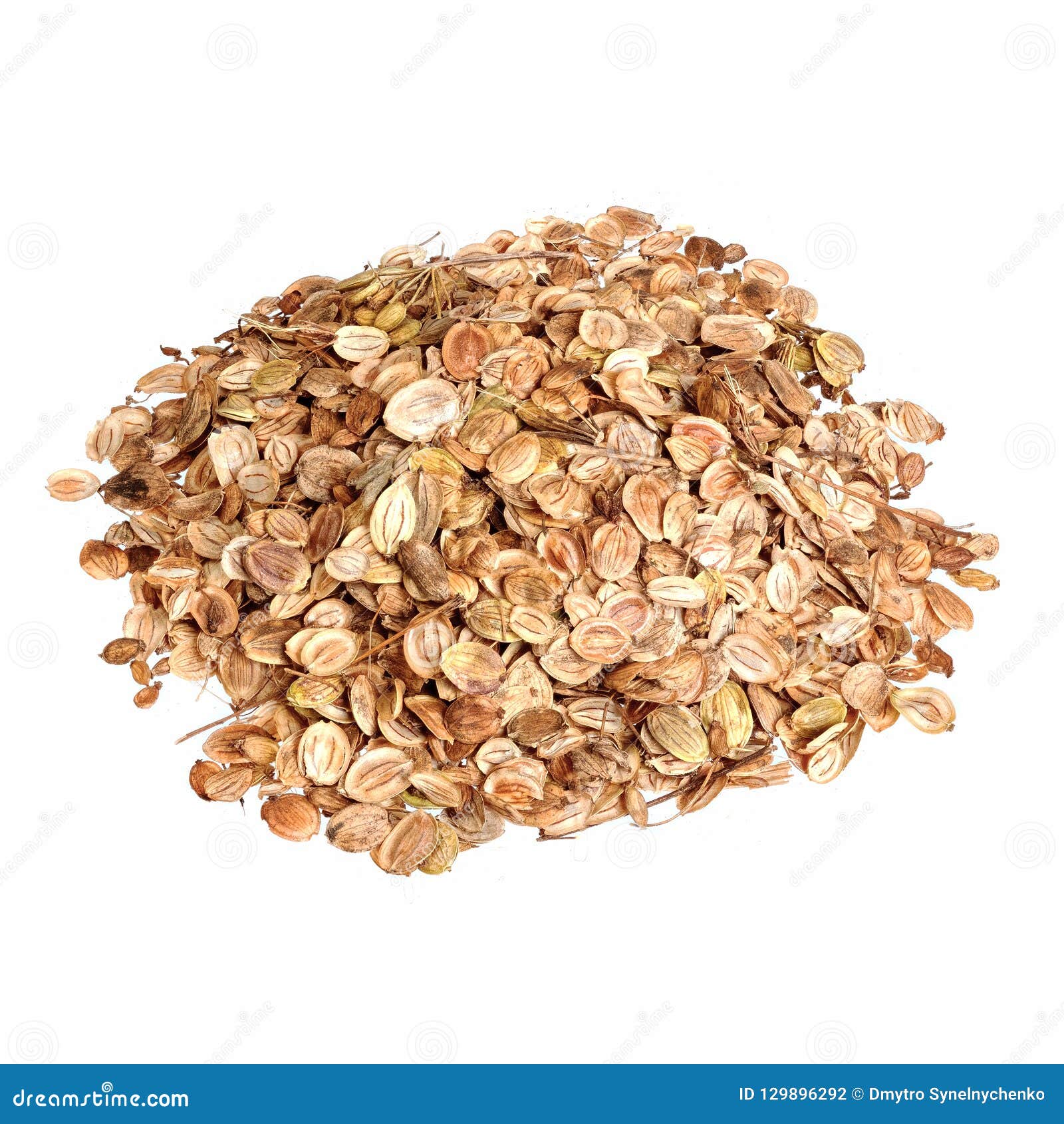 Семена Пастернака Купить В Пензе