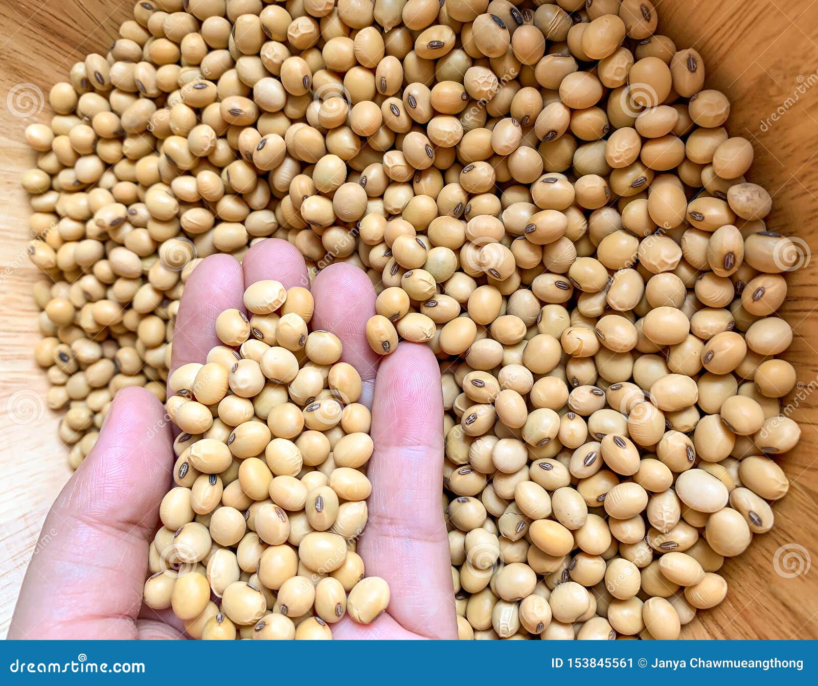 Купить Семена Сои В Орловской Области