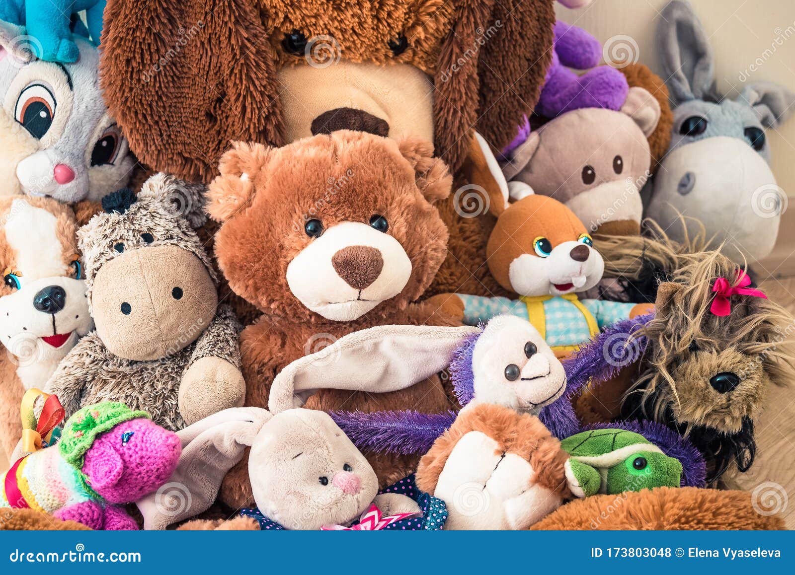 Lotsofbunnies