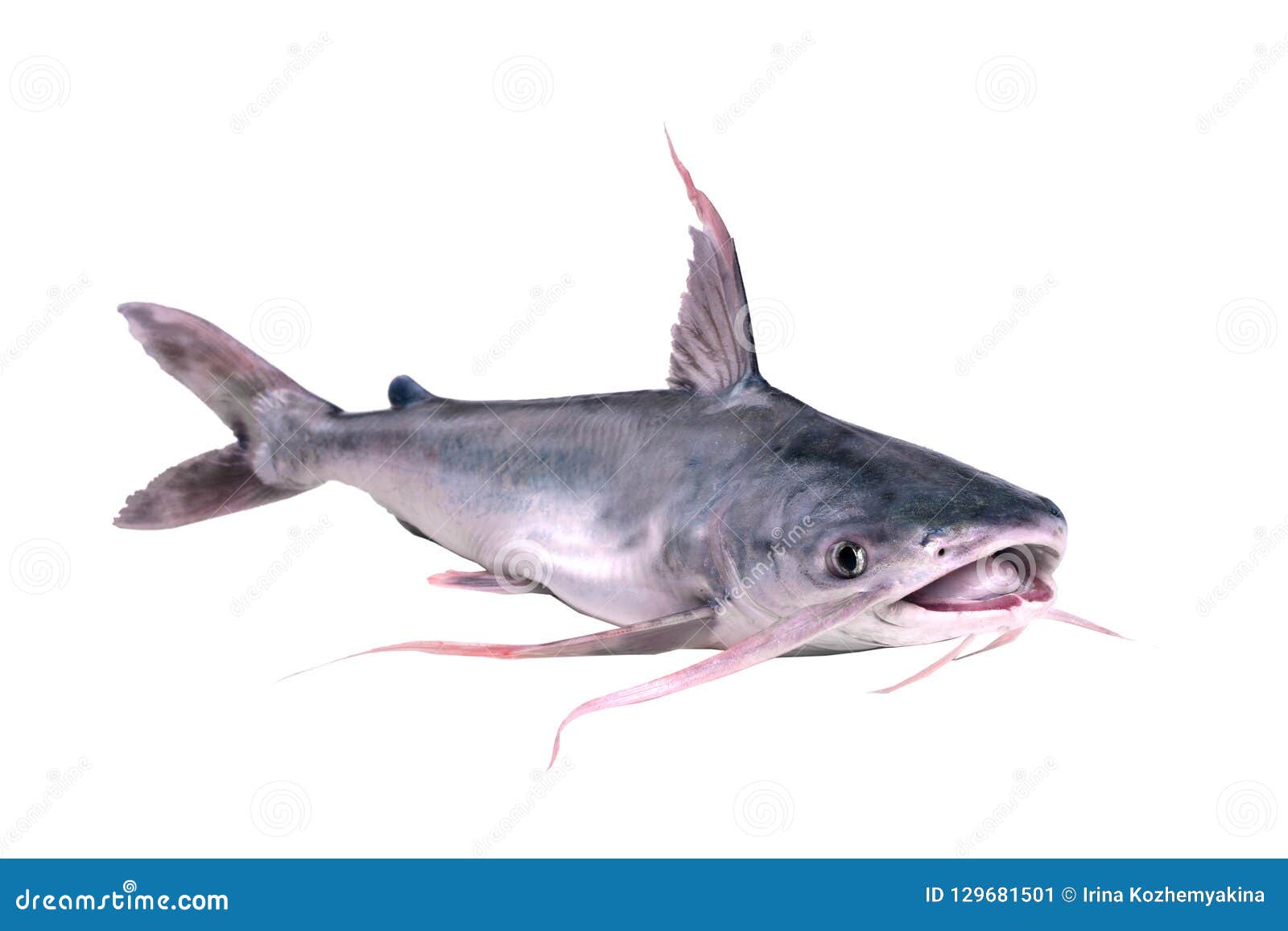 Antoinette From Catfish Twerking