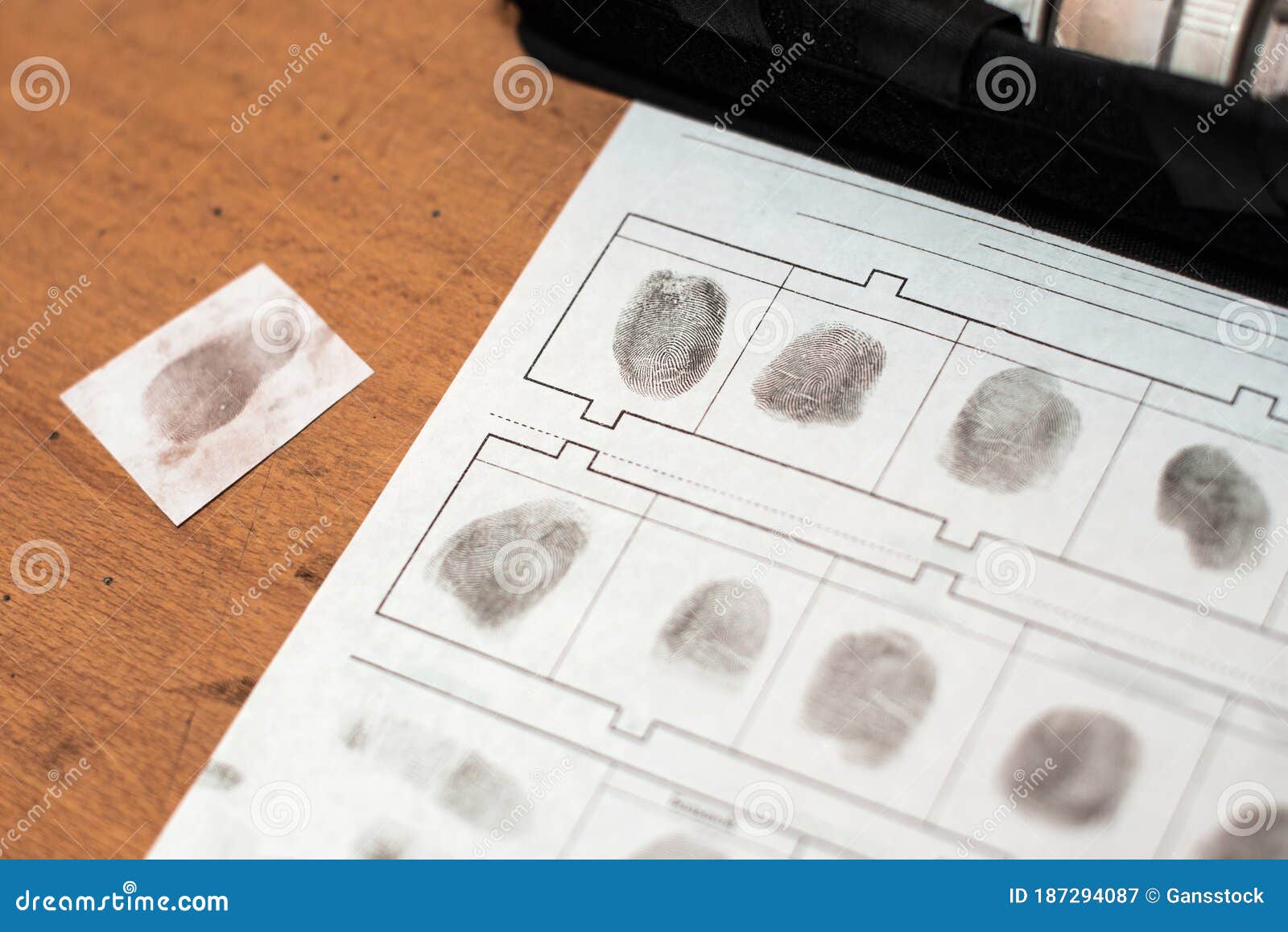 Sectionname ru настройки отпечатков профилей en fingerprints. Отпечатки пальцев дактилоскопия. Отпечатки пальцев в криминалистике. Дактилоскопические порошки в криминалистике.
