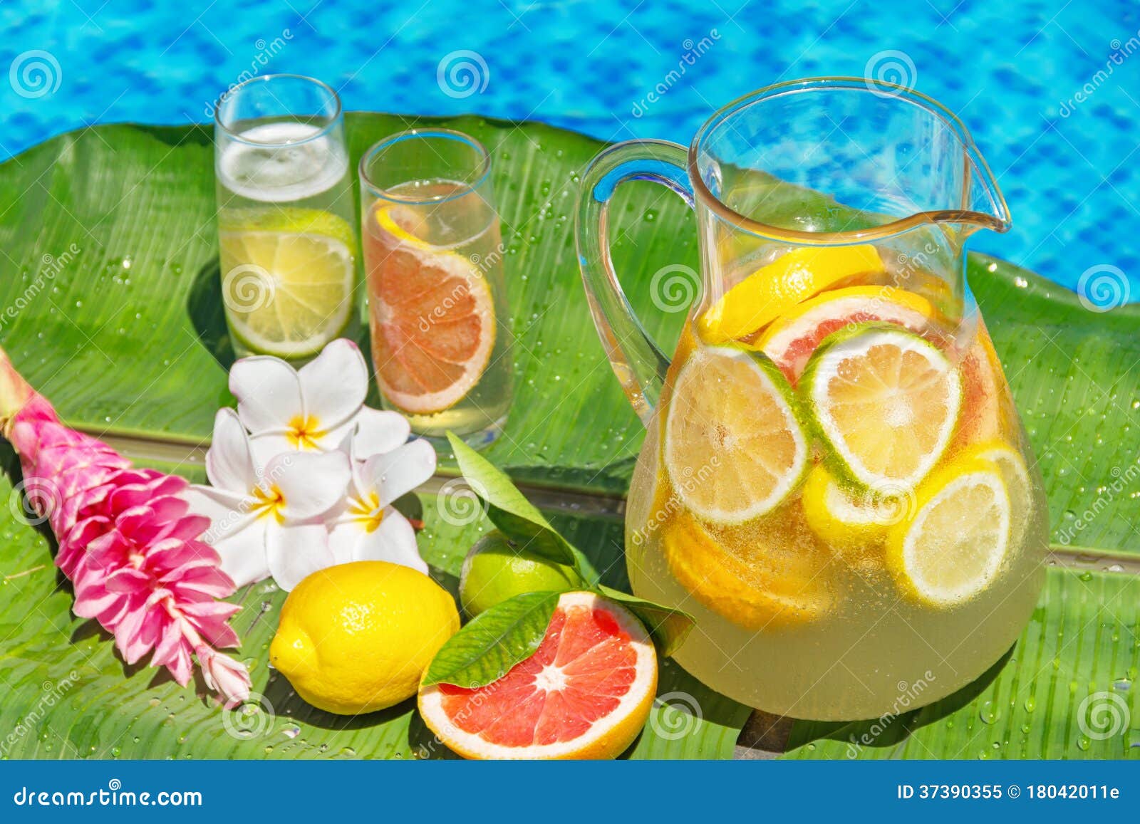 Jugs Of Joy