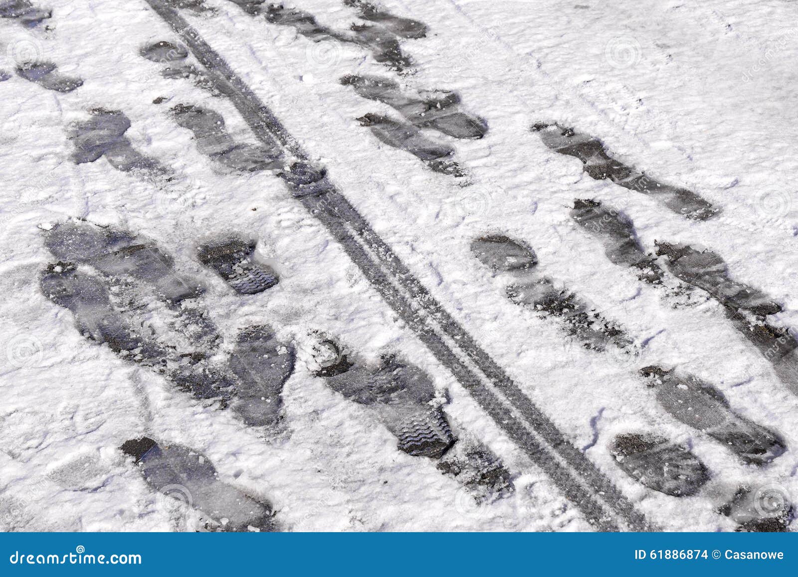 Игра чьи следы подготовительная группа. Следы зверей средней полосы. Следы иллюстрация. На их след и уже. Дорожка следов обуви.