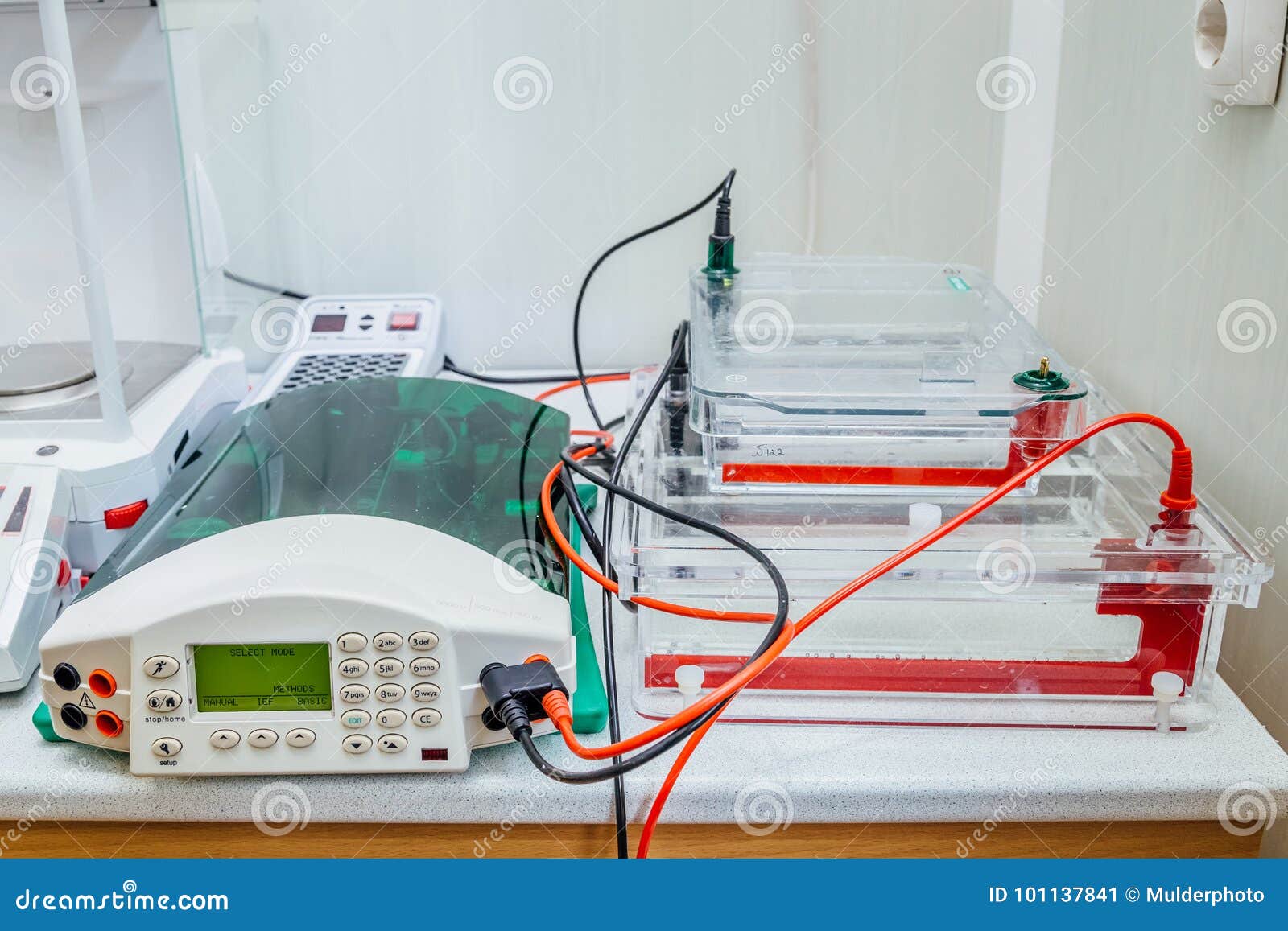 Двухмерный электрофорез. 2d электрофорез белков. Электрофорез код. Электрофорез музыкальная группа. Электрофорез группа 2012.