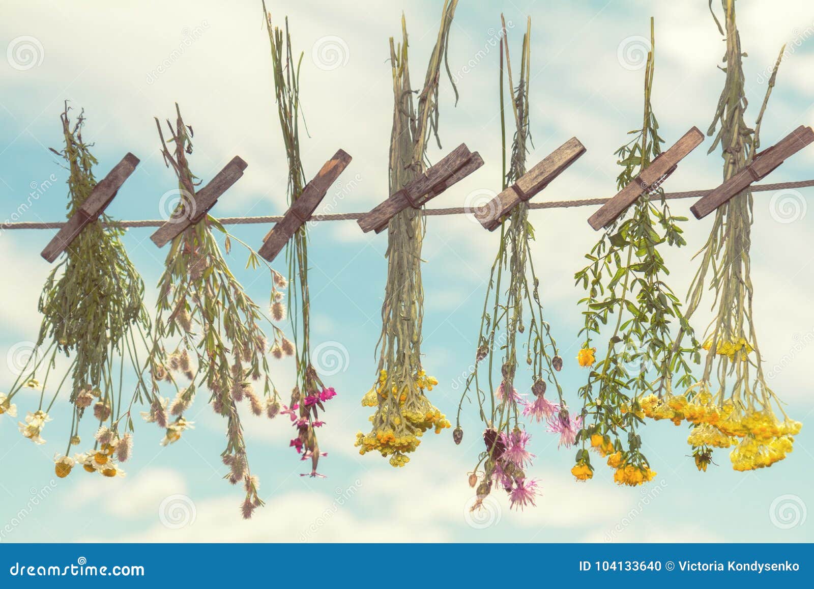 Купить Вышивку Сухие Травы