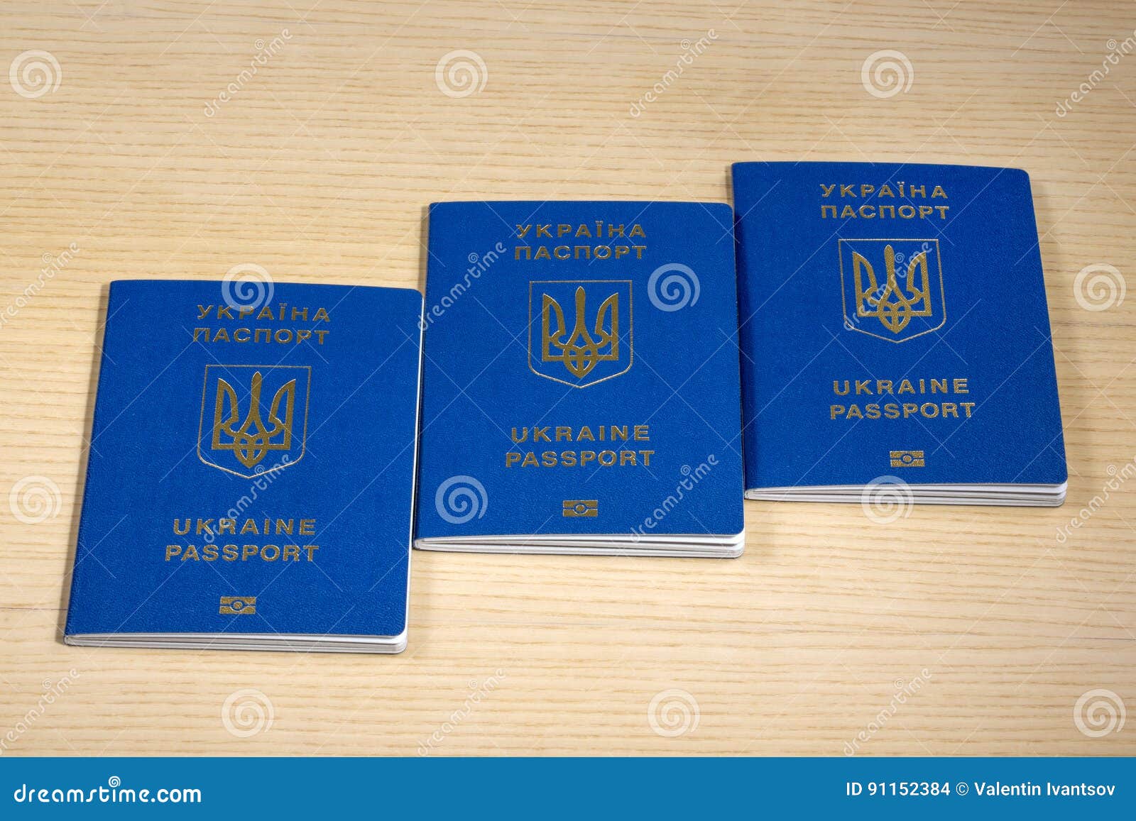 Биометрический Загранпаспорт Украина Фото
