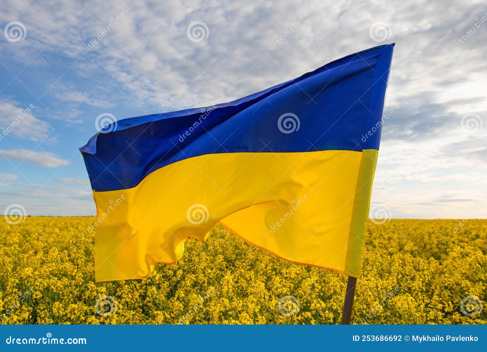 Флаг Украины Фото Картинки