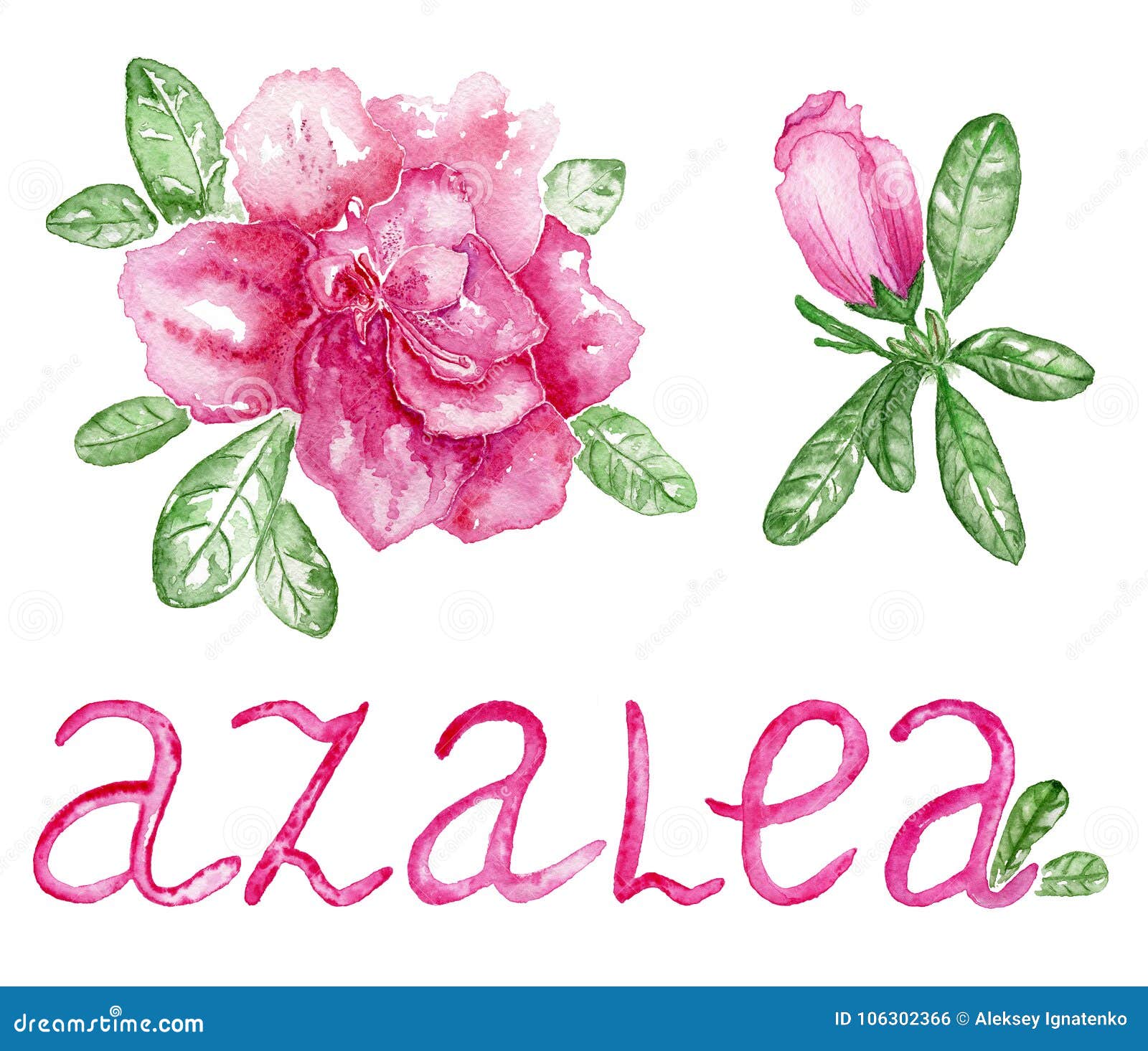 Картинки С Именем Азалия