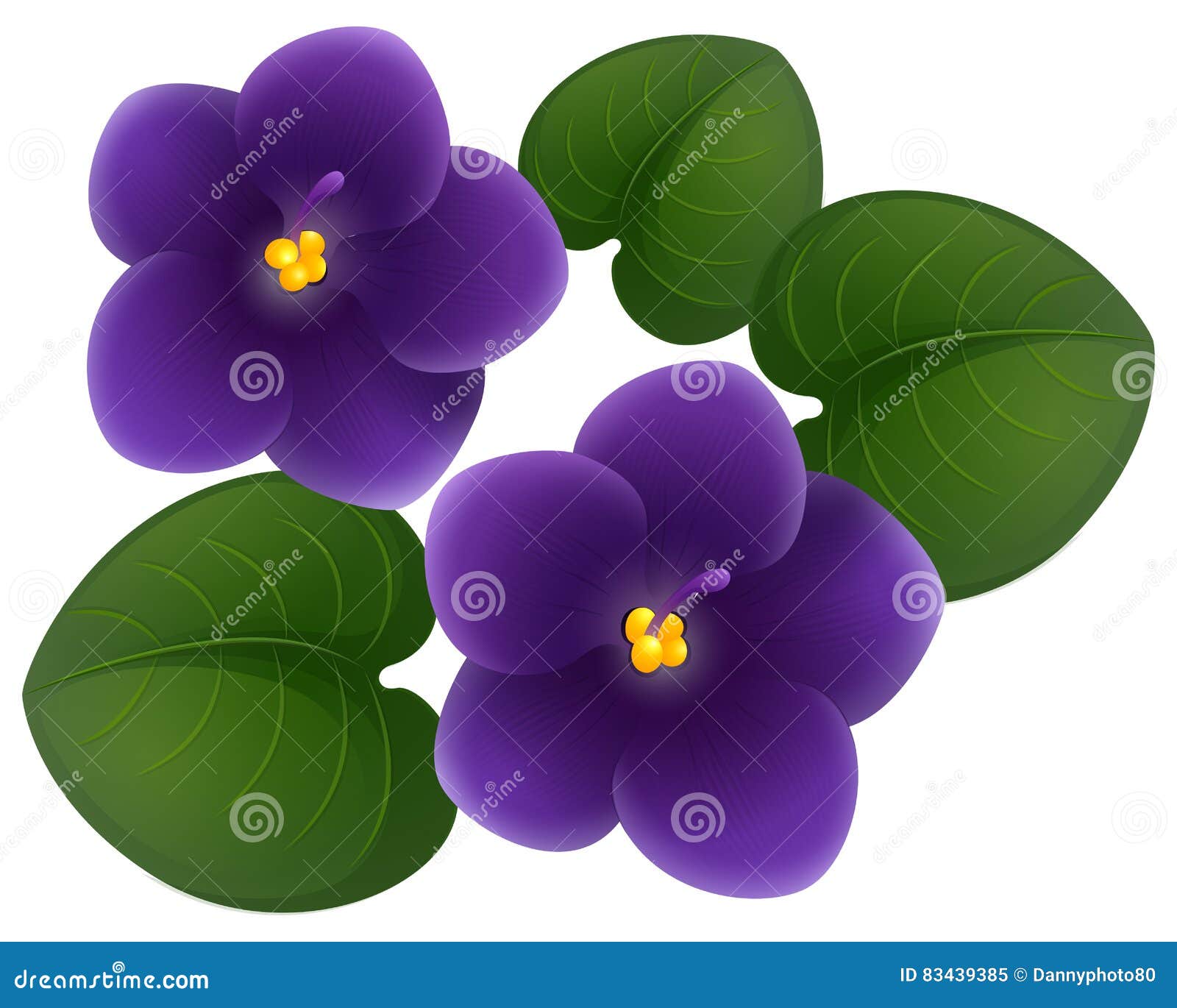 Violet Pics