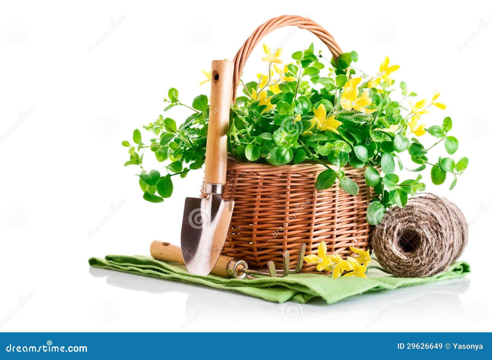 Товары Для Дачи Купить В Интернет Магазине