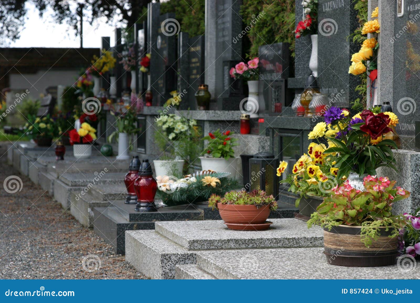 Купить цветы на кладбище спб