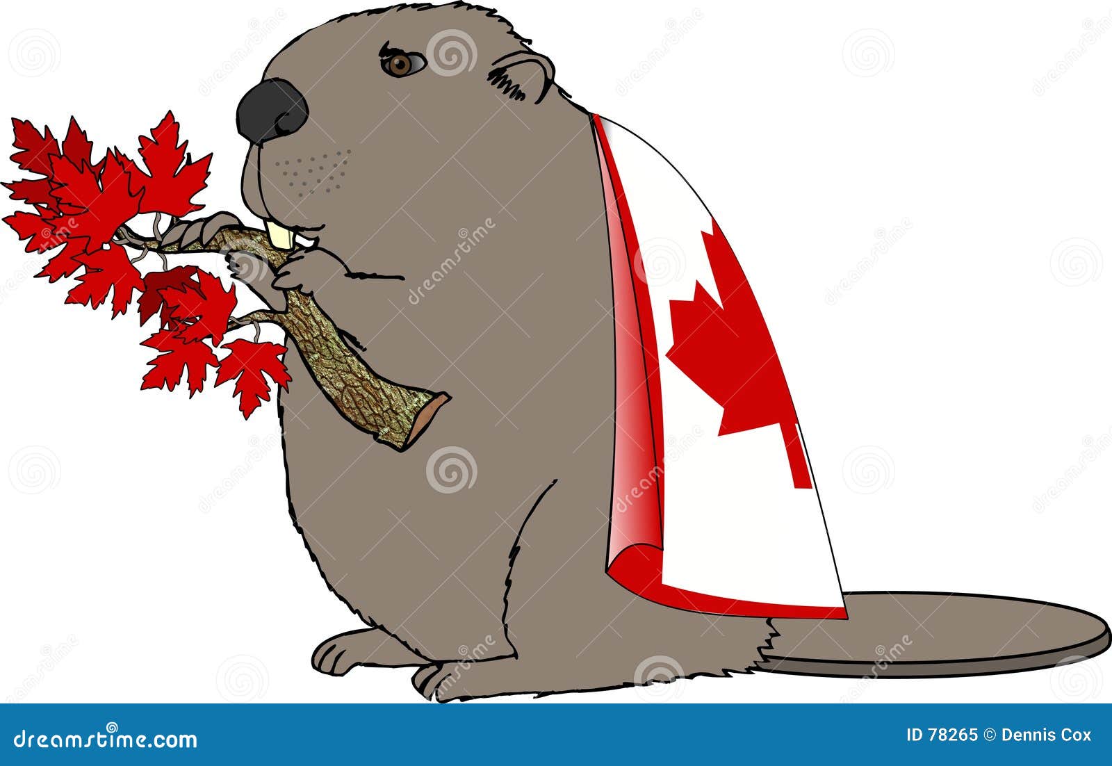 Teenbeaver