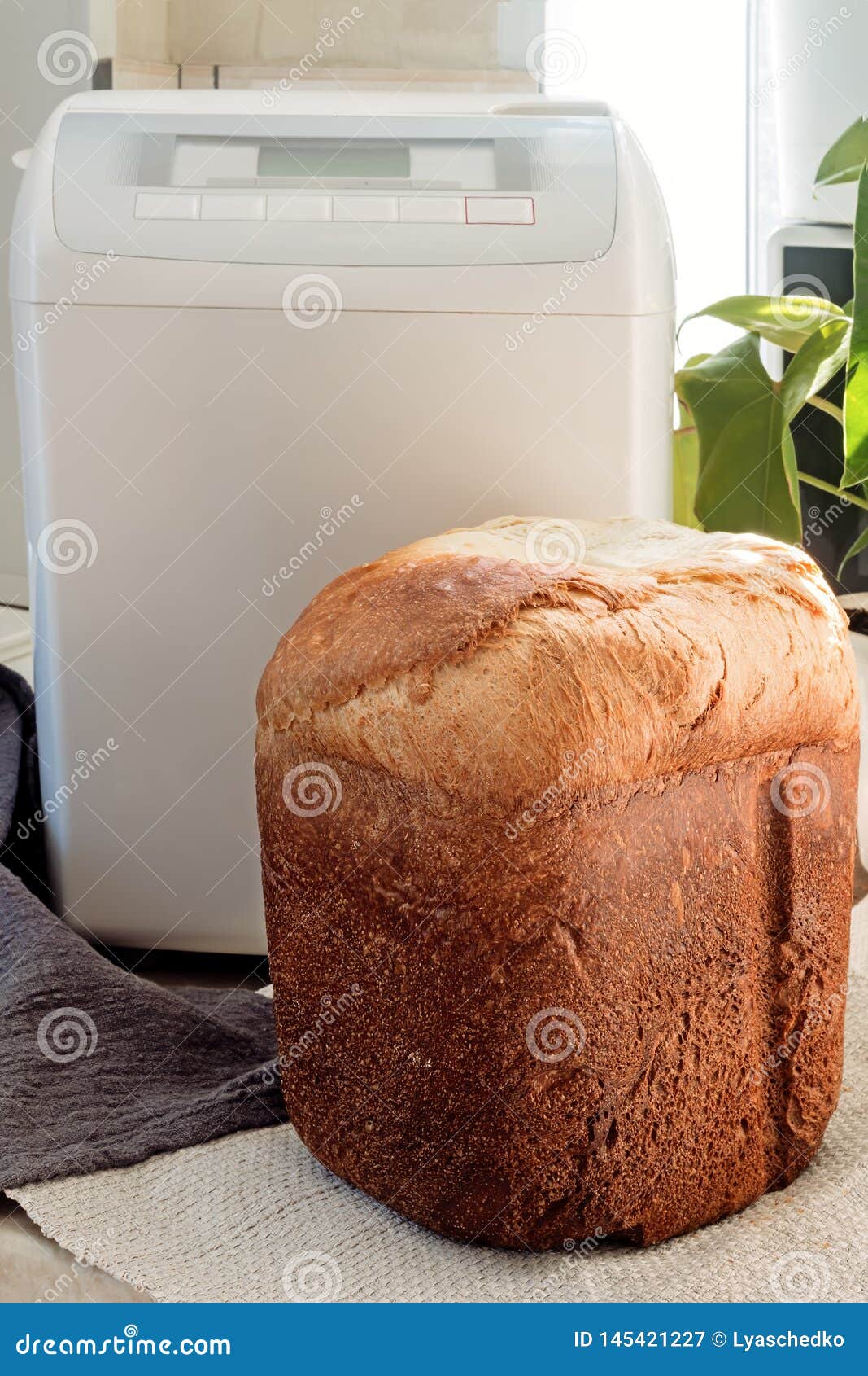Домашняя Печь Для Выпечки Хлеба Купить