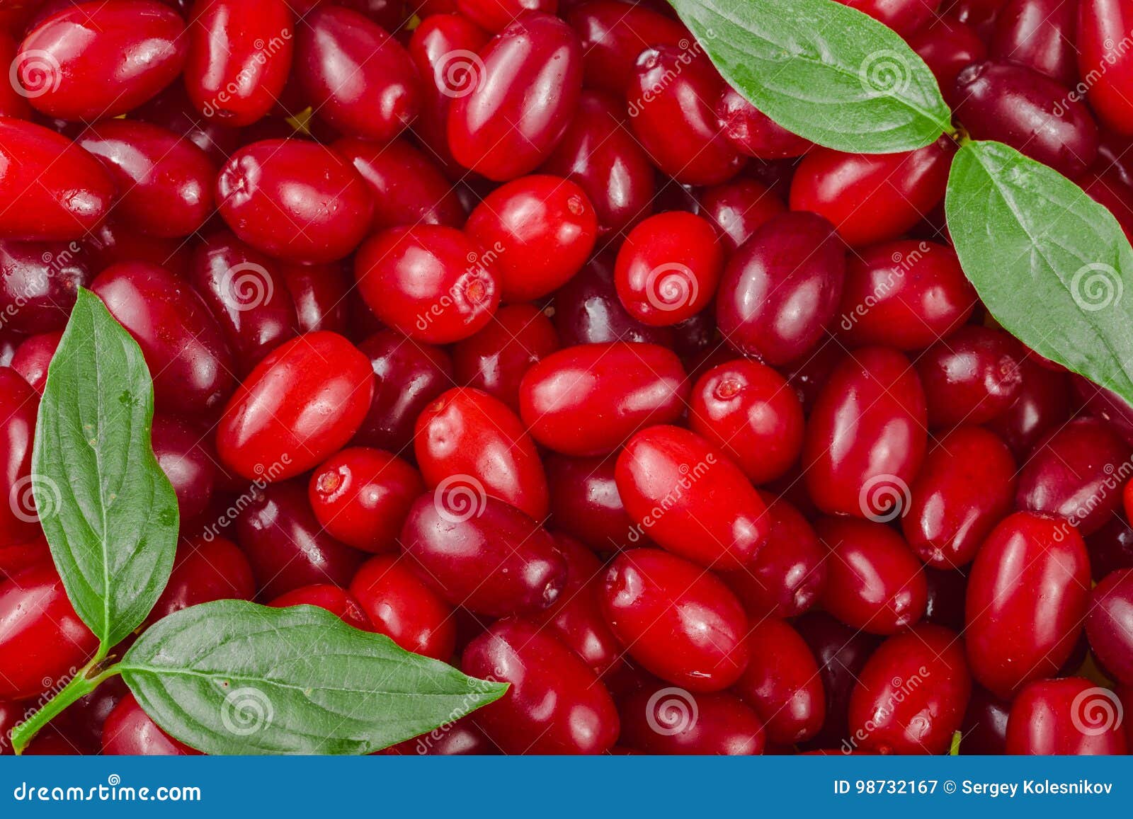 Где Можно Купить Ягоды Кизил