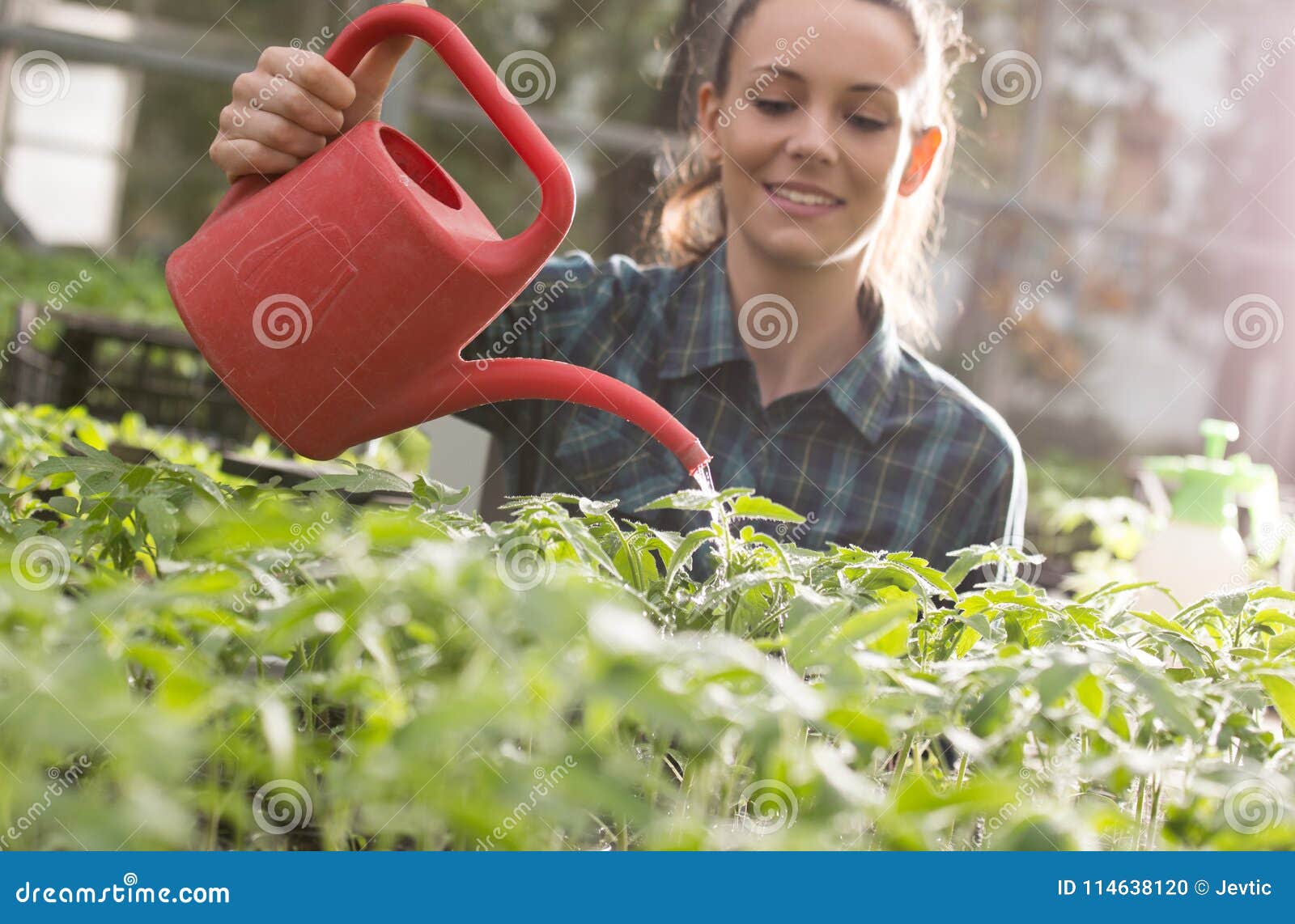 Banshee Farm Girl