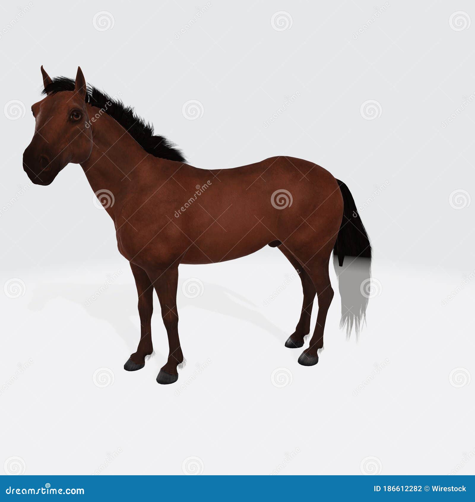 pics Caballo Marron Animado Caballo Dibujo dreamstime